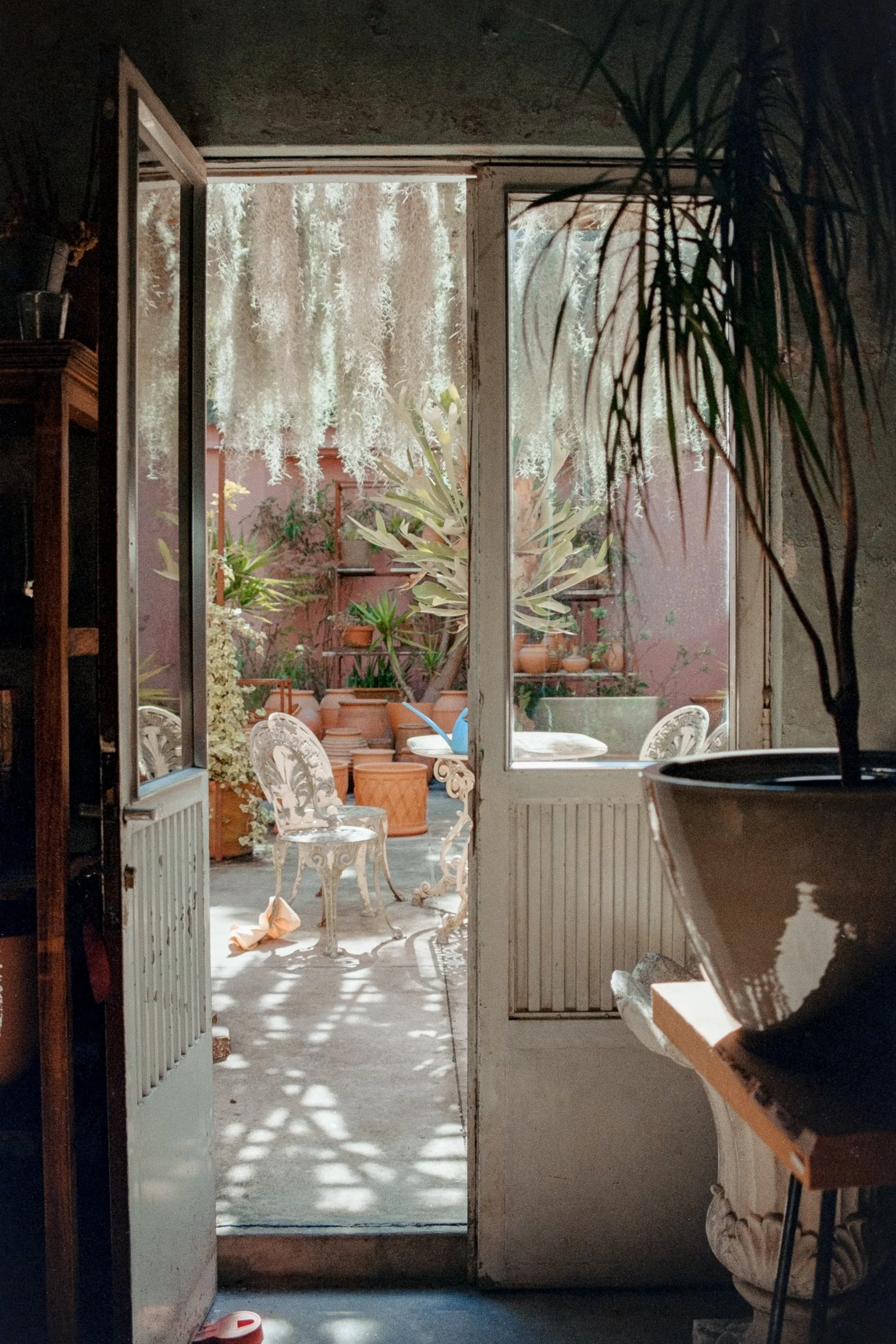 View through an open door to a sunlit outdoor patio with potted plants, white ornate chairs, and hanging white Spanish moss.