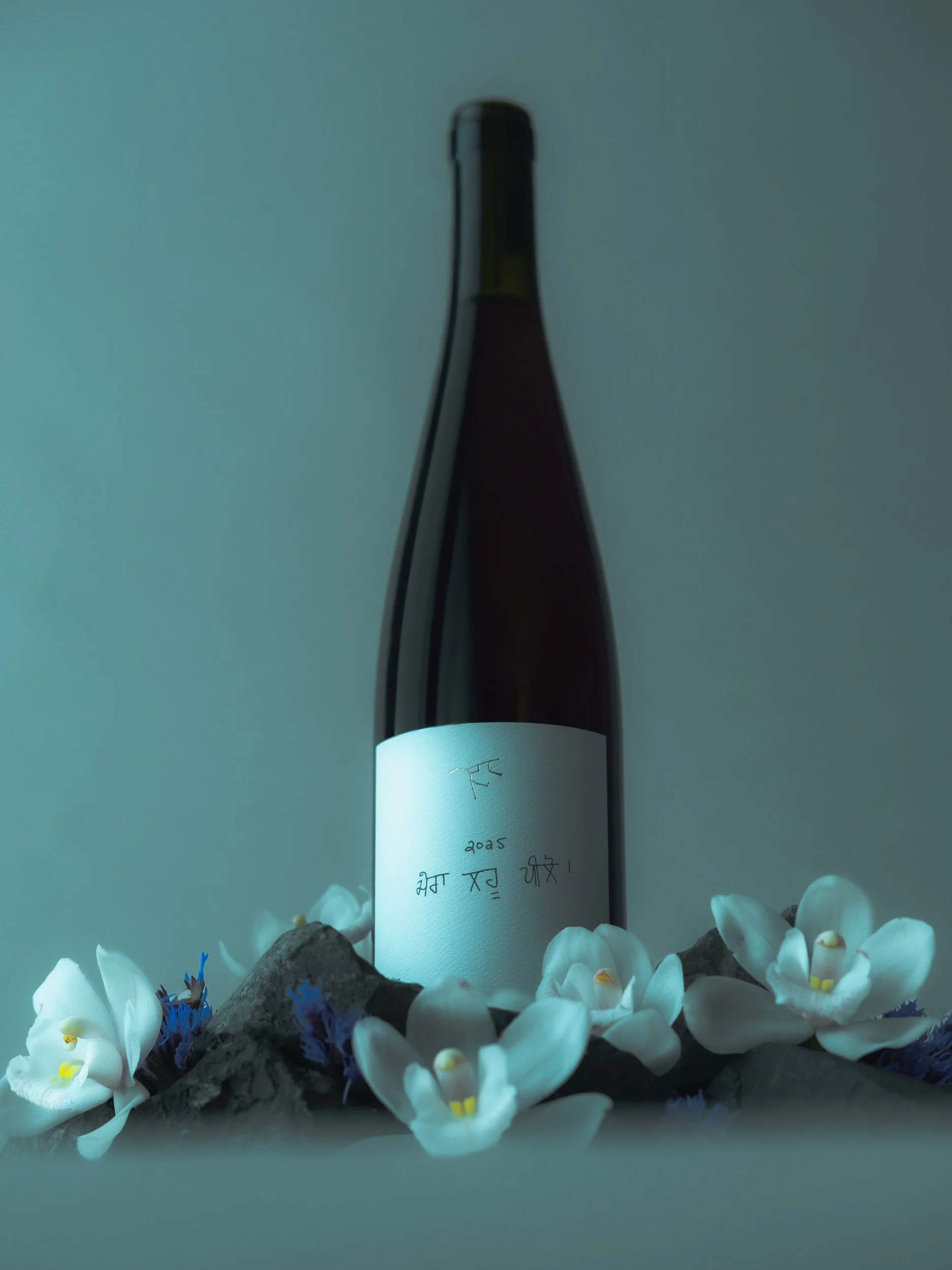 20260211Ursa Major Bottles_Drink My Blood_Vancouver_001-15.jpg