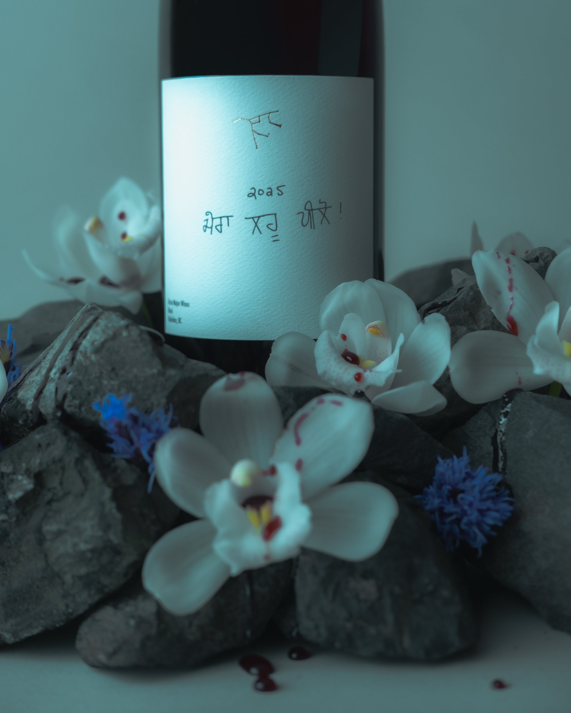 20260211Ursa Major Bottles_Drink My Blood_Vancouver_001-36.jpg