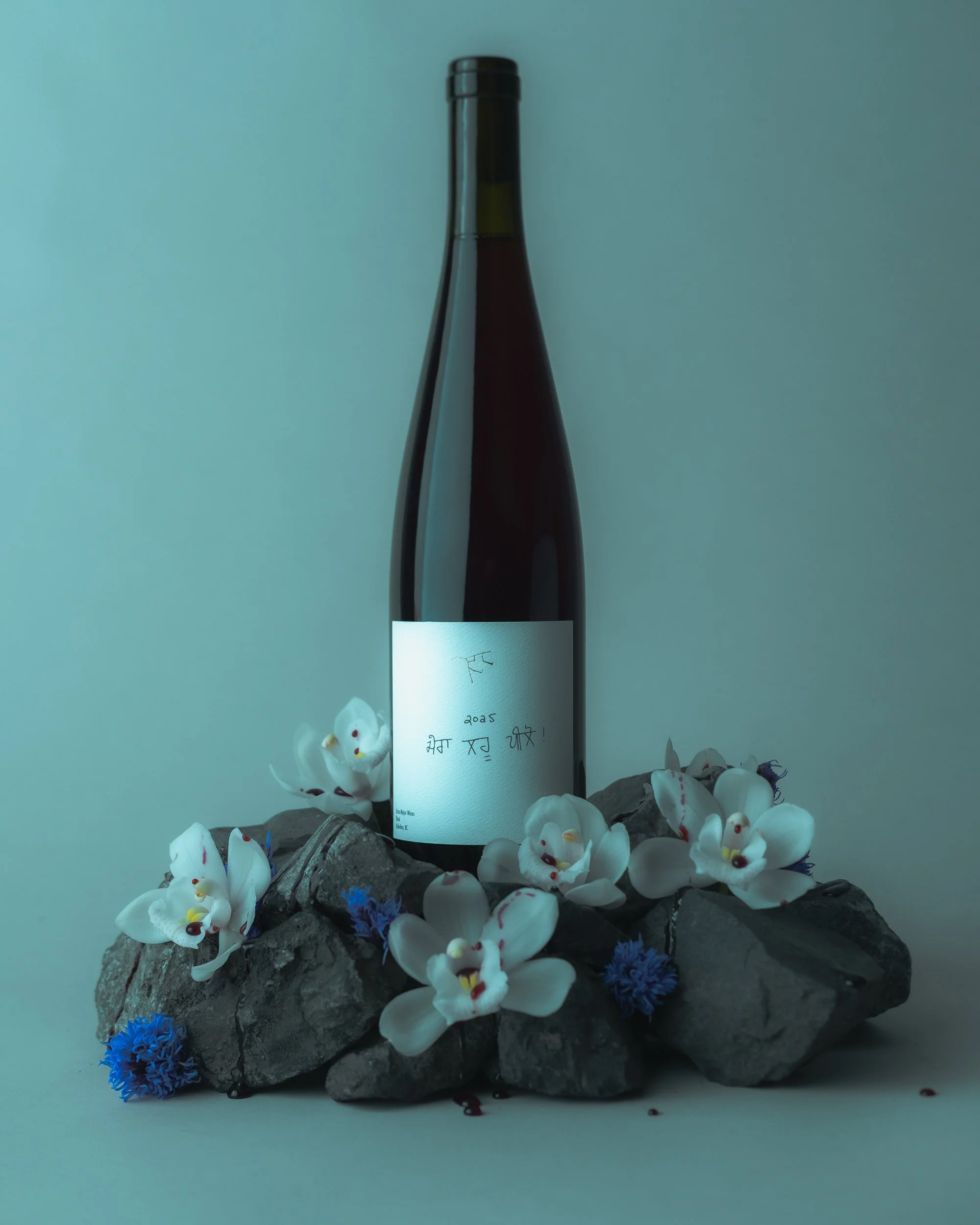 20260211Ursa Major Bottles_Drink My Blood_Vancouver_001-30.jpg