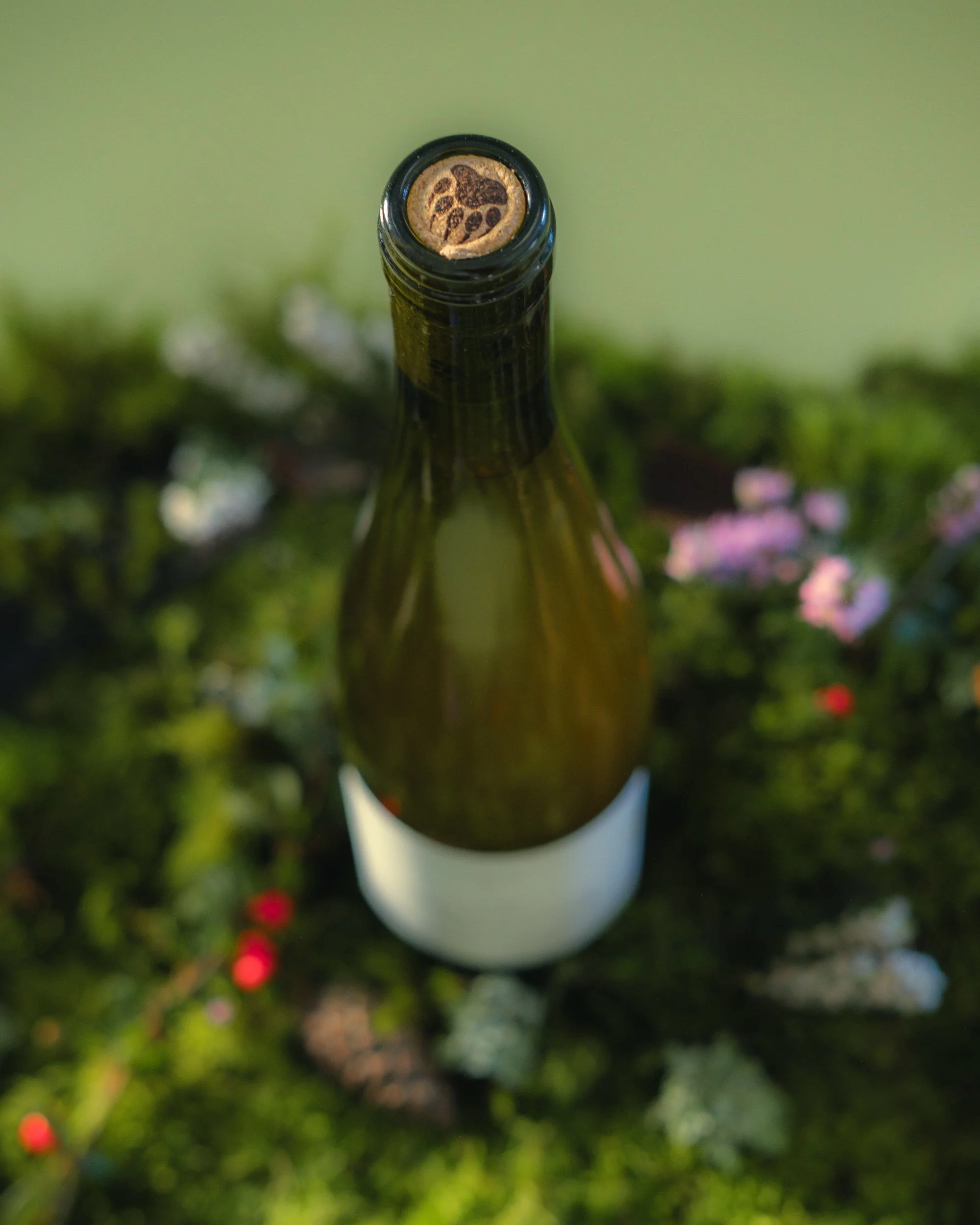 20260210Ursa Major Bottles_Alchemy's First Law of Equivalent Change_Vancouver_001-239.jpg