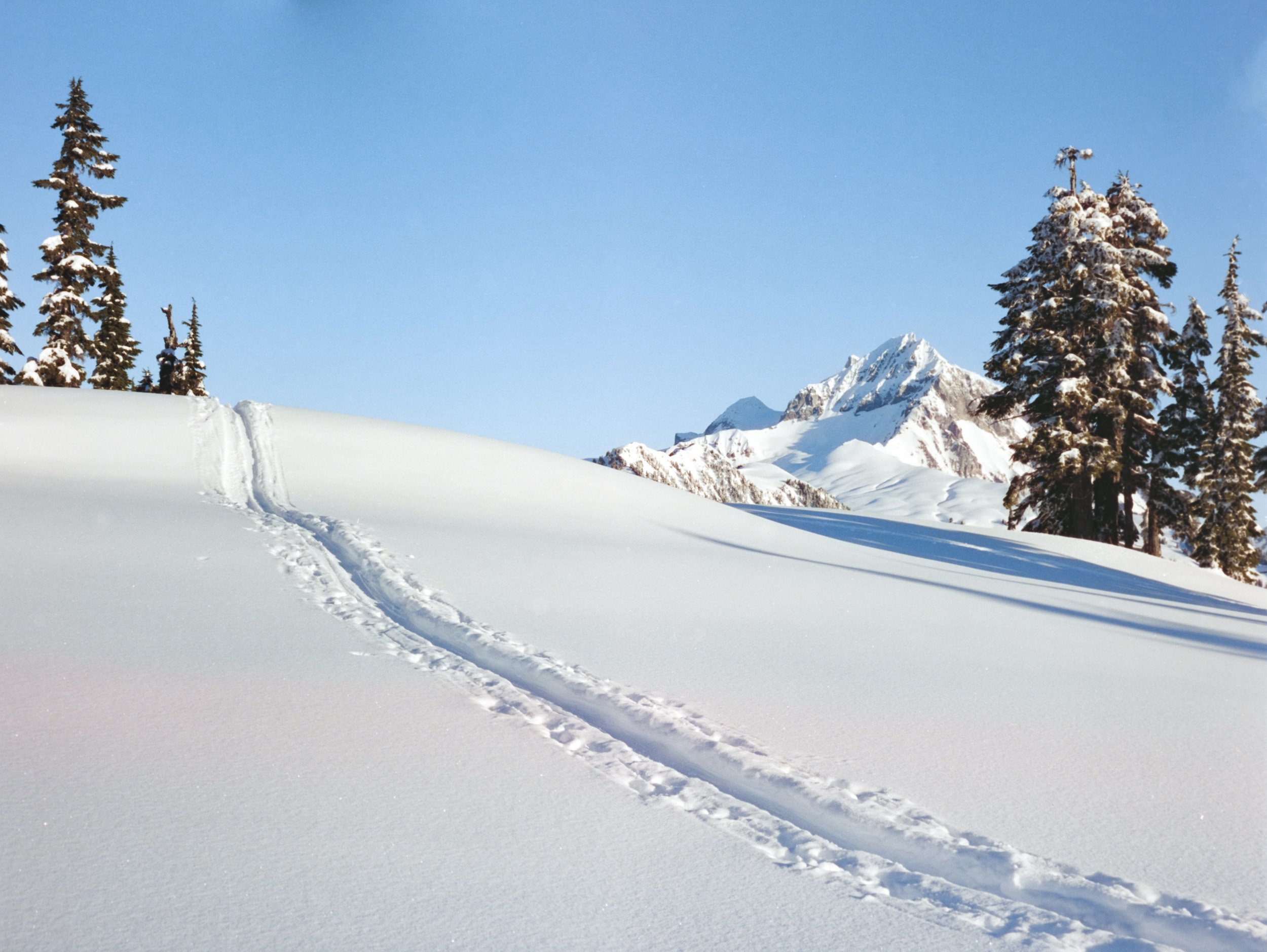 Snowy mountain landscape with ski tracks and evergreen trees.