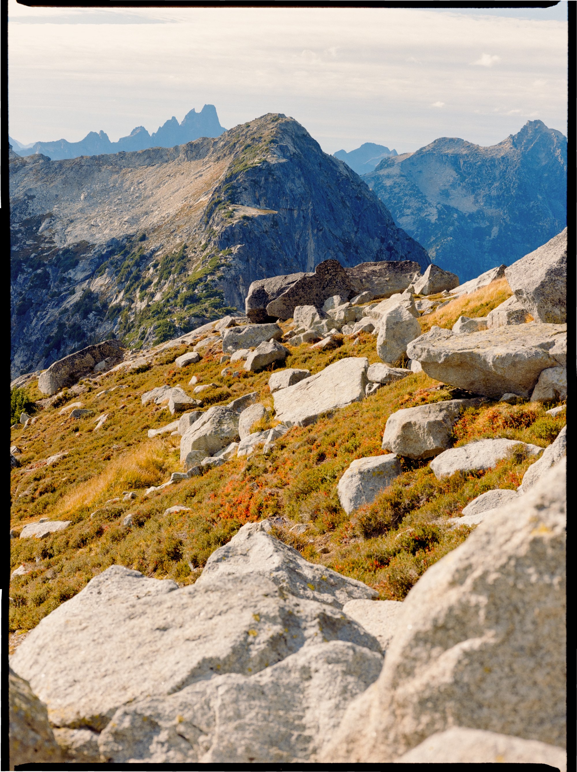 20240924_Mt Lindeman_Mamiya645_Gold2002425-Pano-positive.jpg