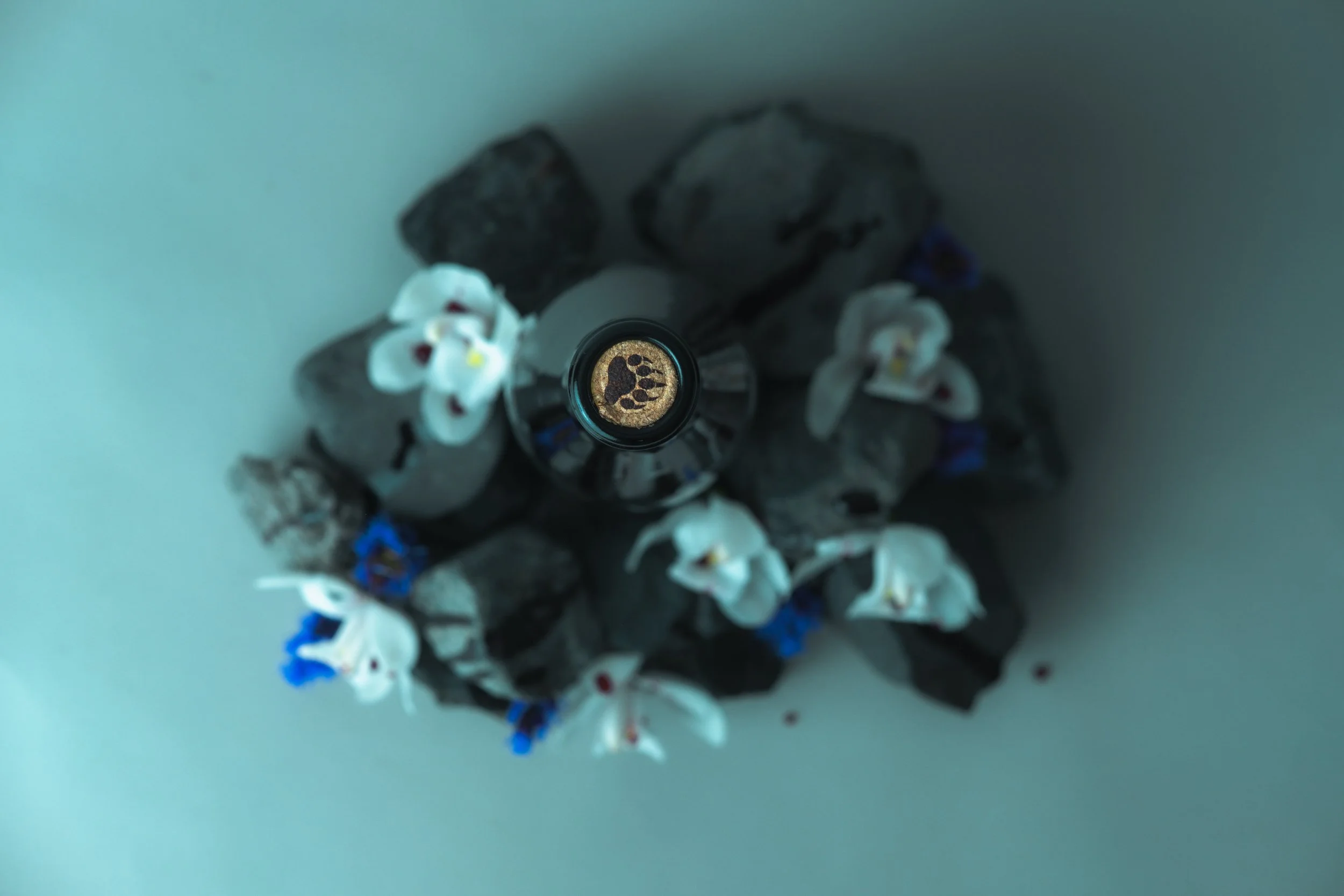 20260211Ursa Major Bottles_Drink My Blood_Vancouver_001-65.jpg