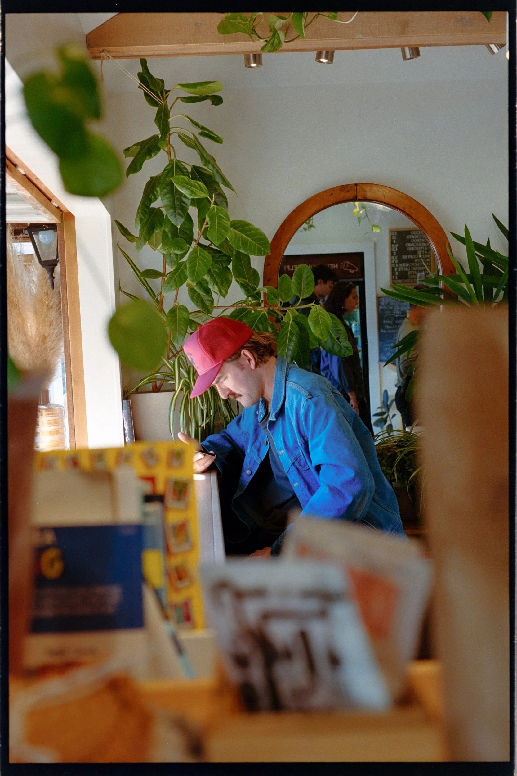 A young man with a red and pink cap and a blue denim jacket sitting by a window, focused on his phone, surrounded by green plants and indoor decor in a cozy cafe.