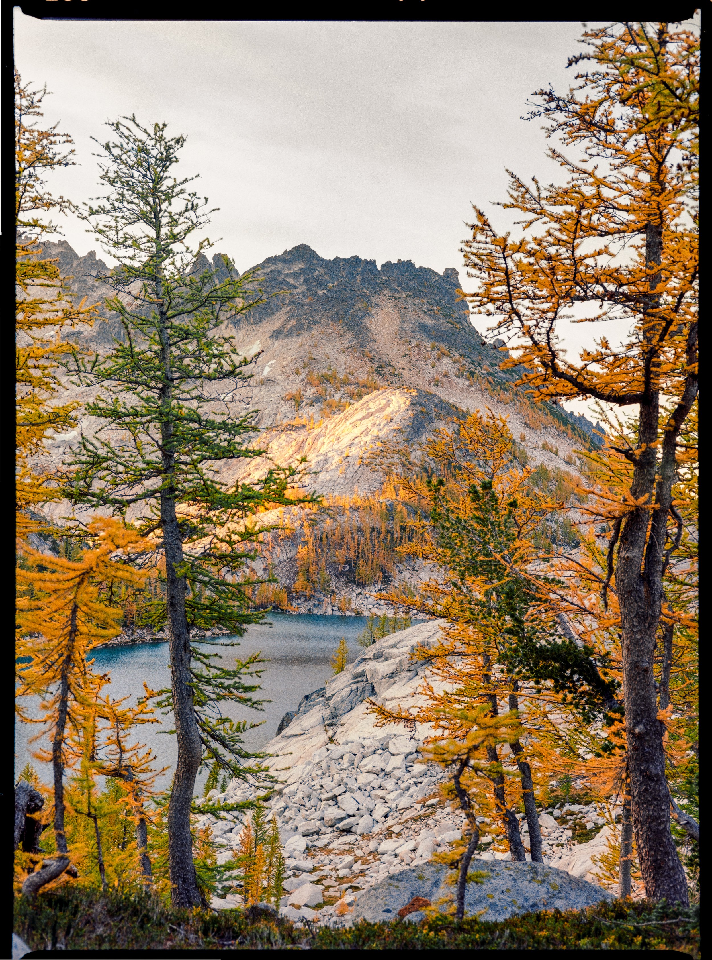 202409021_The Enchantments_2024_Mamiya645ProTL_Gold 200_3903-Pano-positive.jpg