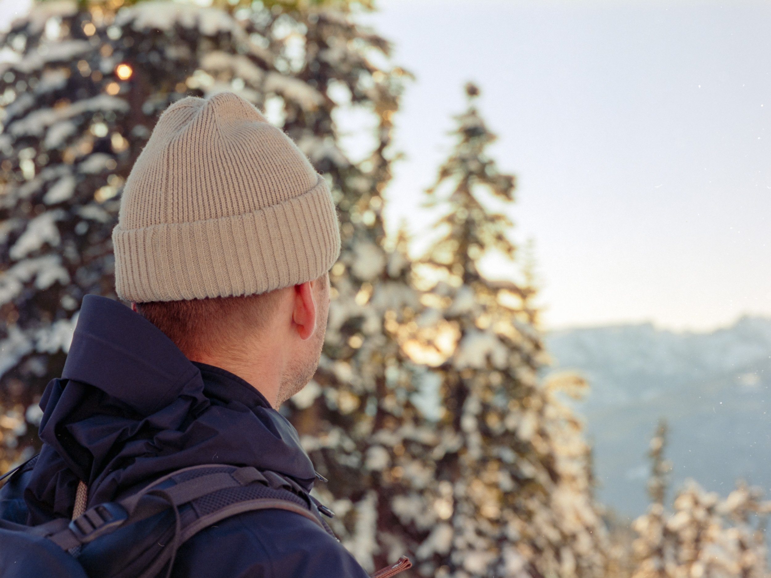 Person wearing a beige beanie and jacket, facing snowy forest scene with trees and distant mountains.