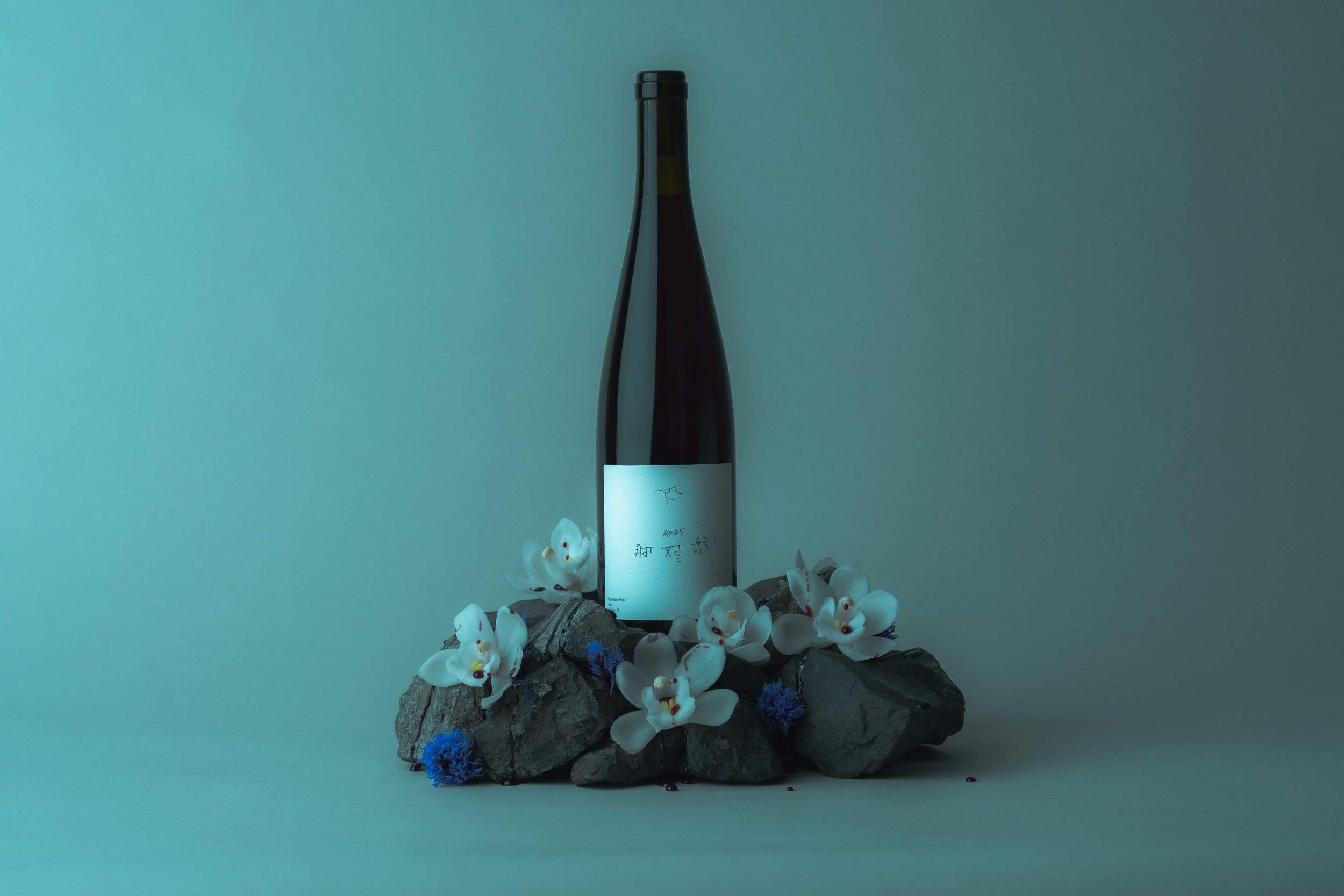 20260211Ursa Major Bottles_Drink My Blood_Vancouver_001-82.jpg