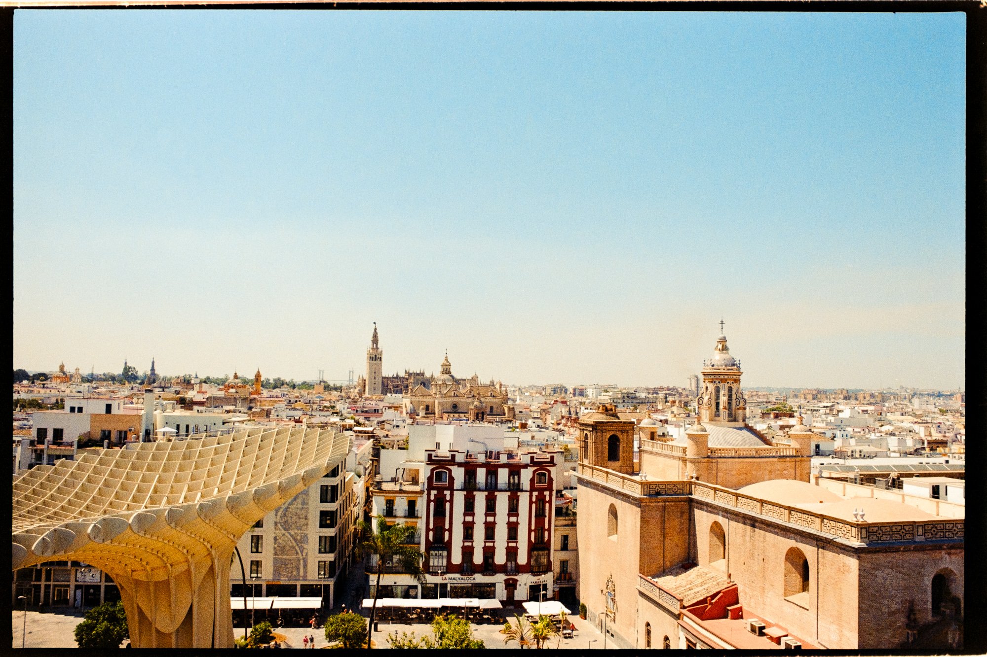 20240708_Sevilla_2024_Minoltax700_Colorplus 200_Lucy3709-positive.jpg