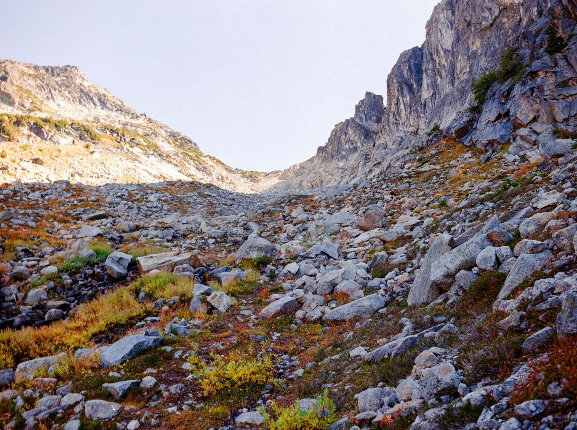 20240924_Mt Lindeman_Mamiya645_Gold2002461-Pano-positive.jpg