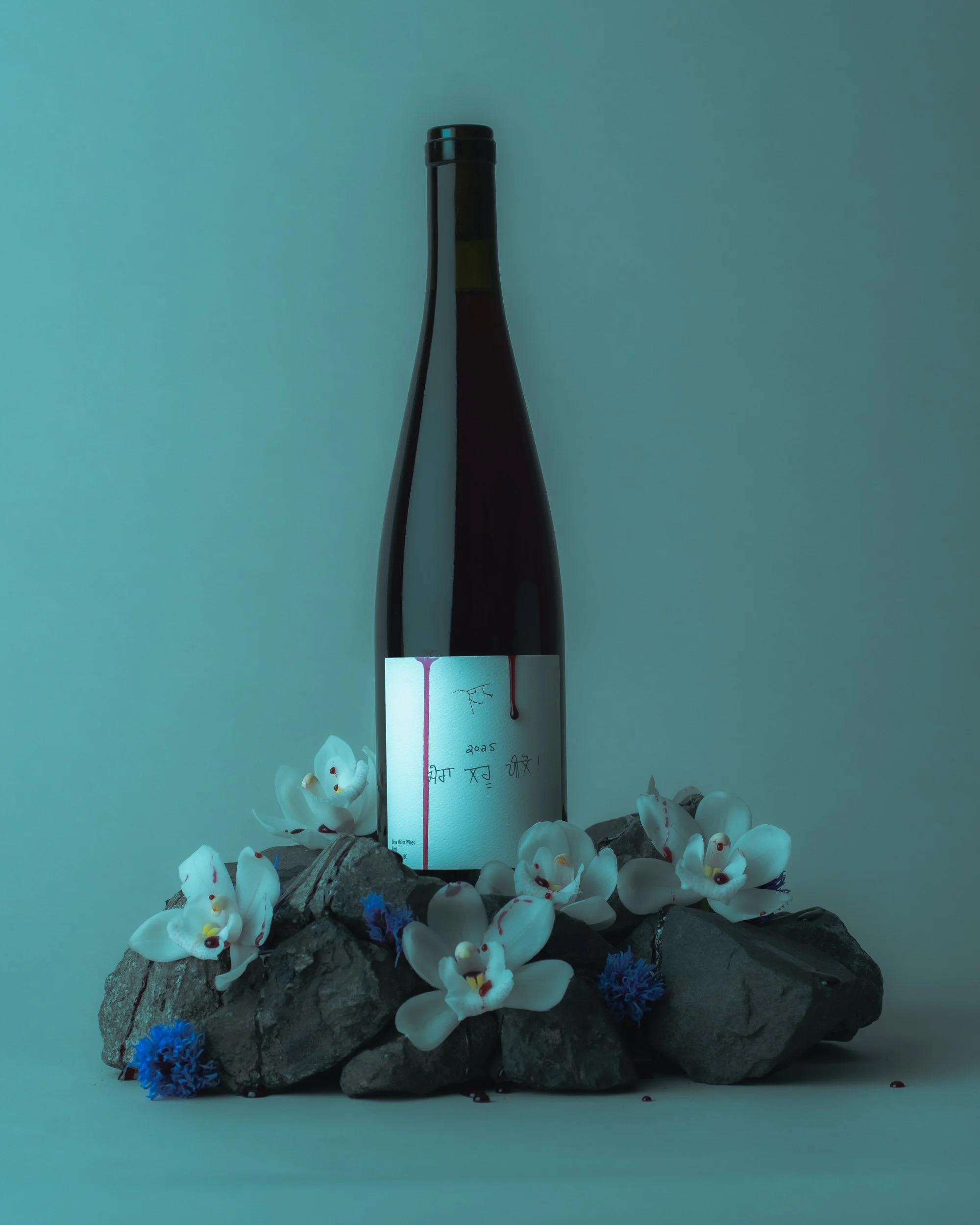 20260211Ursa Major Bottles_Drink My Blood_Vancouver_001-88.jpg