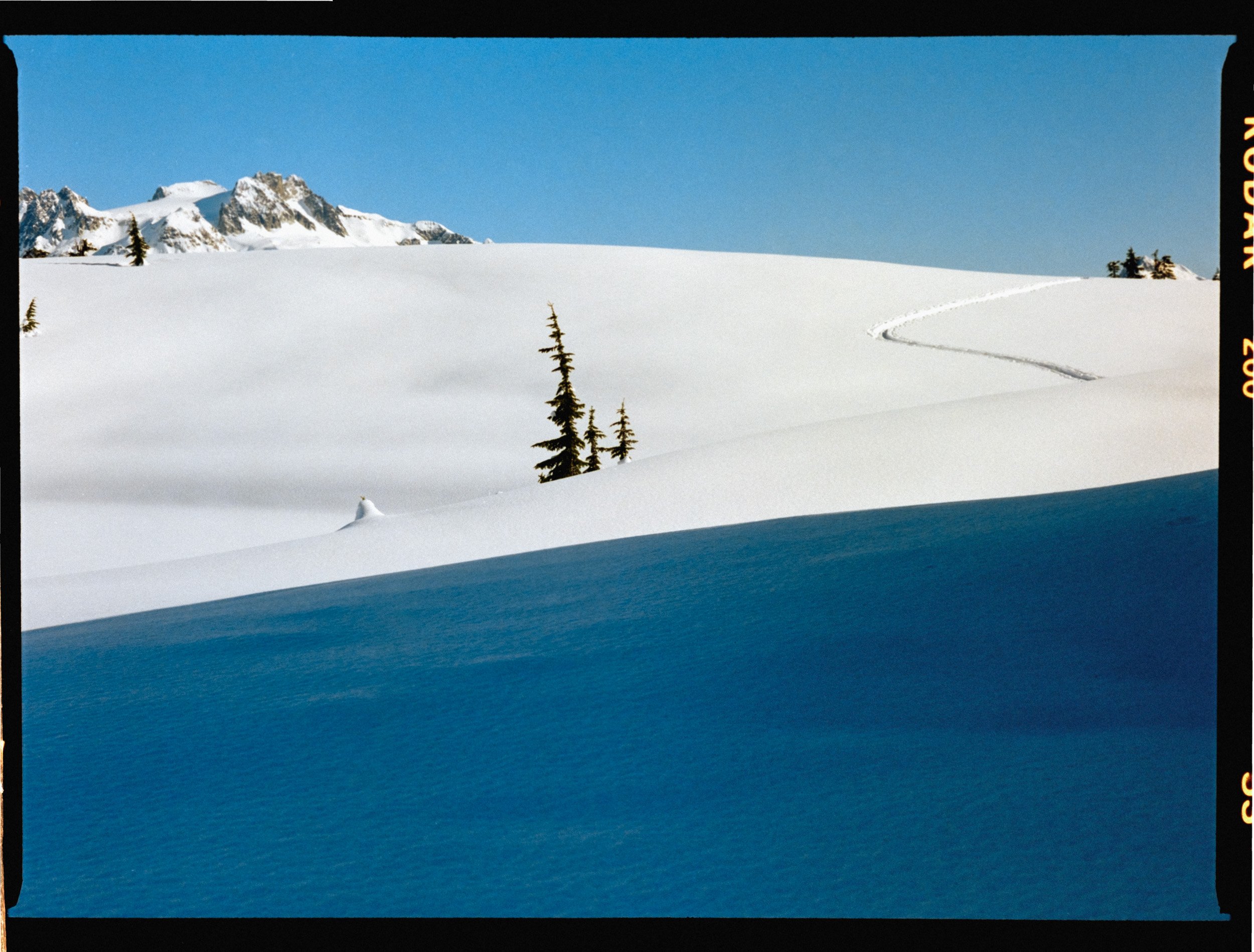 Snowy landscape with mountains and snow-covered trees, featuring a single ski trail winding through the snow under a clear blue sky.
