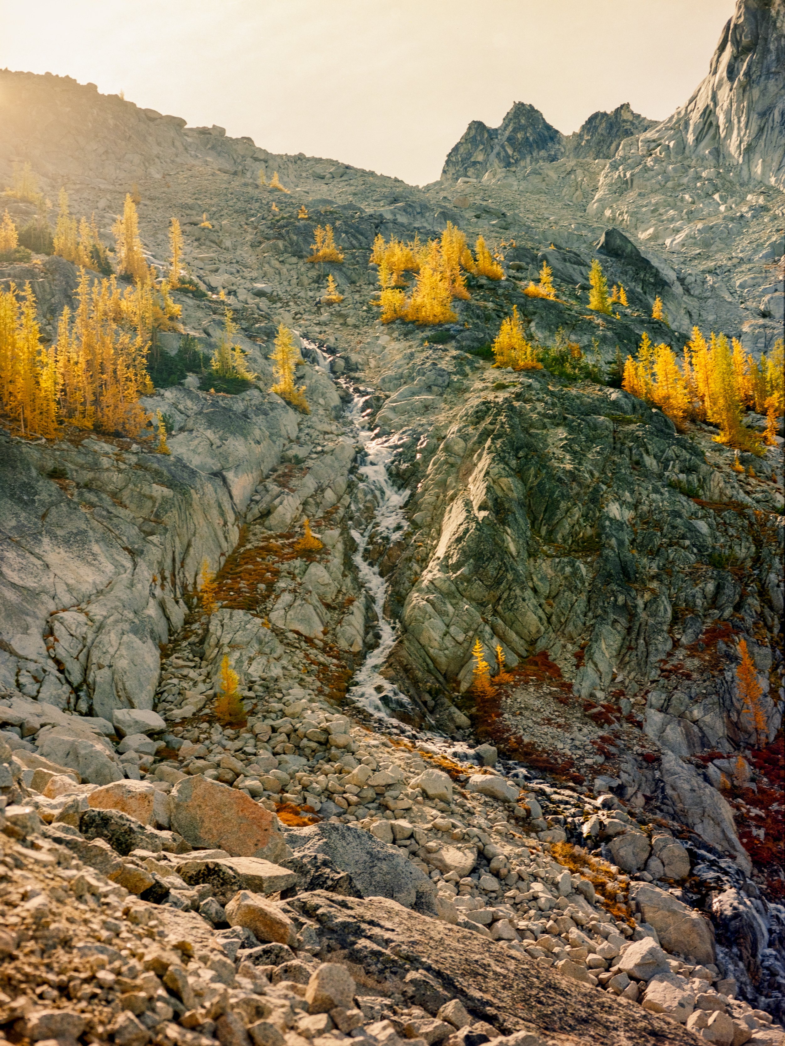 20241003_The Enchantments_Mamiya645_Portra 1602541-Pano-positive.jpg