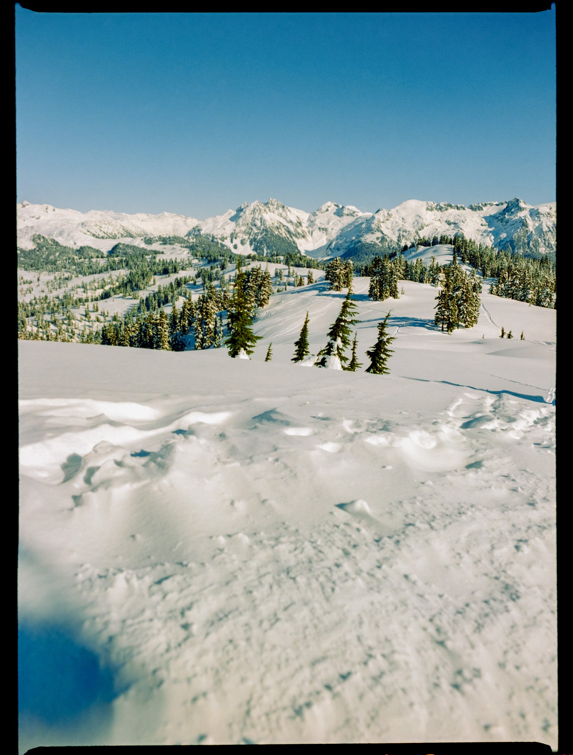 Snow-covered landscape with evergreen trees and distant snowy mountains under a clear blue sky.