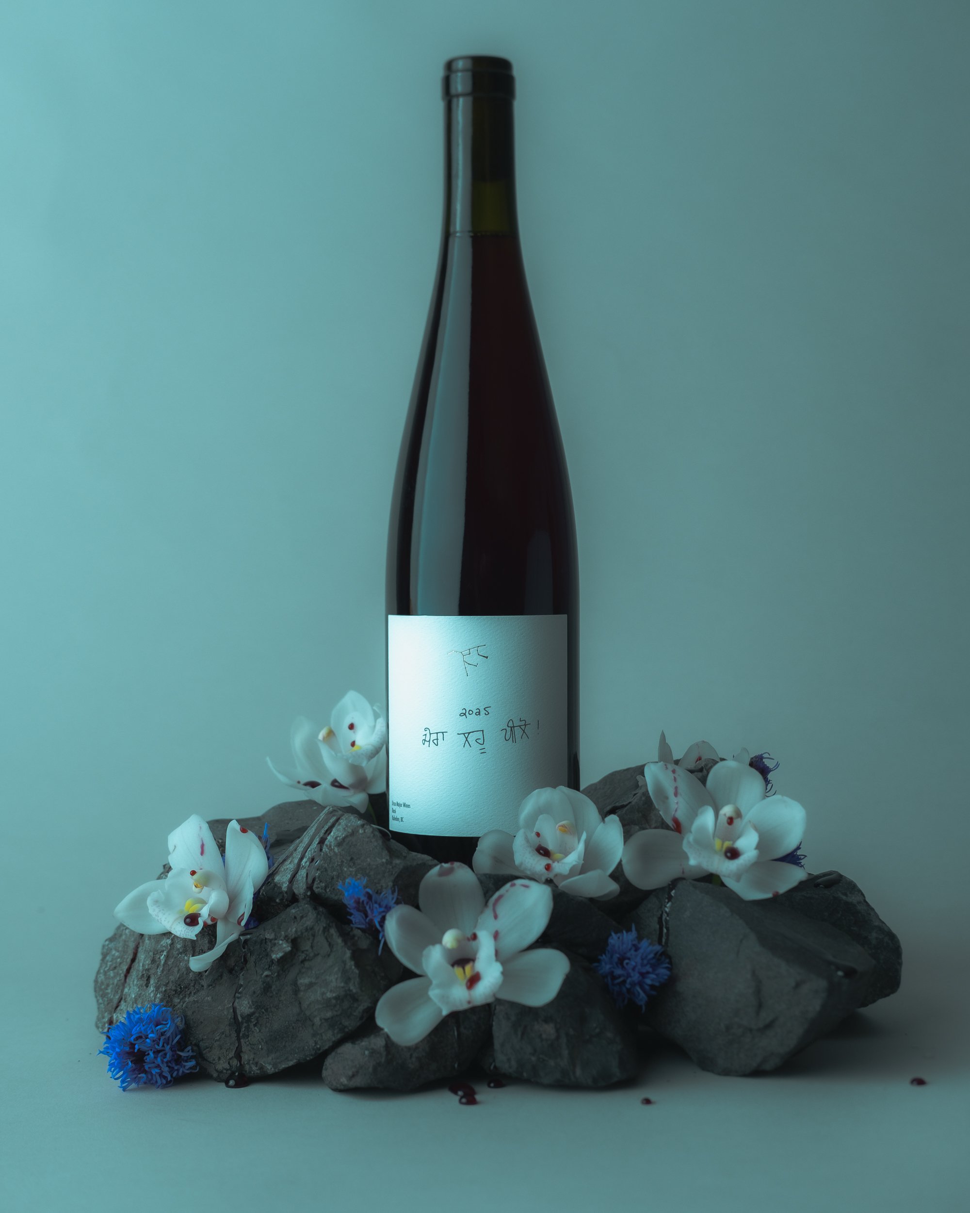 20260211Ursa Major Bottles_Drink My Blood_Vancouver_001-30.jpg