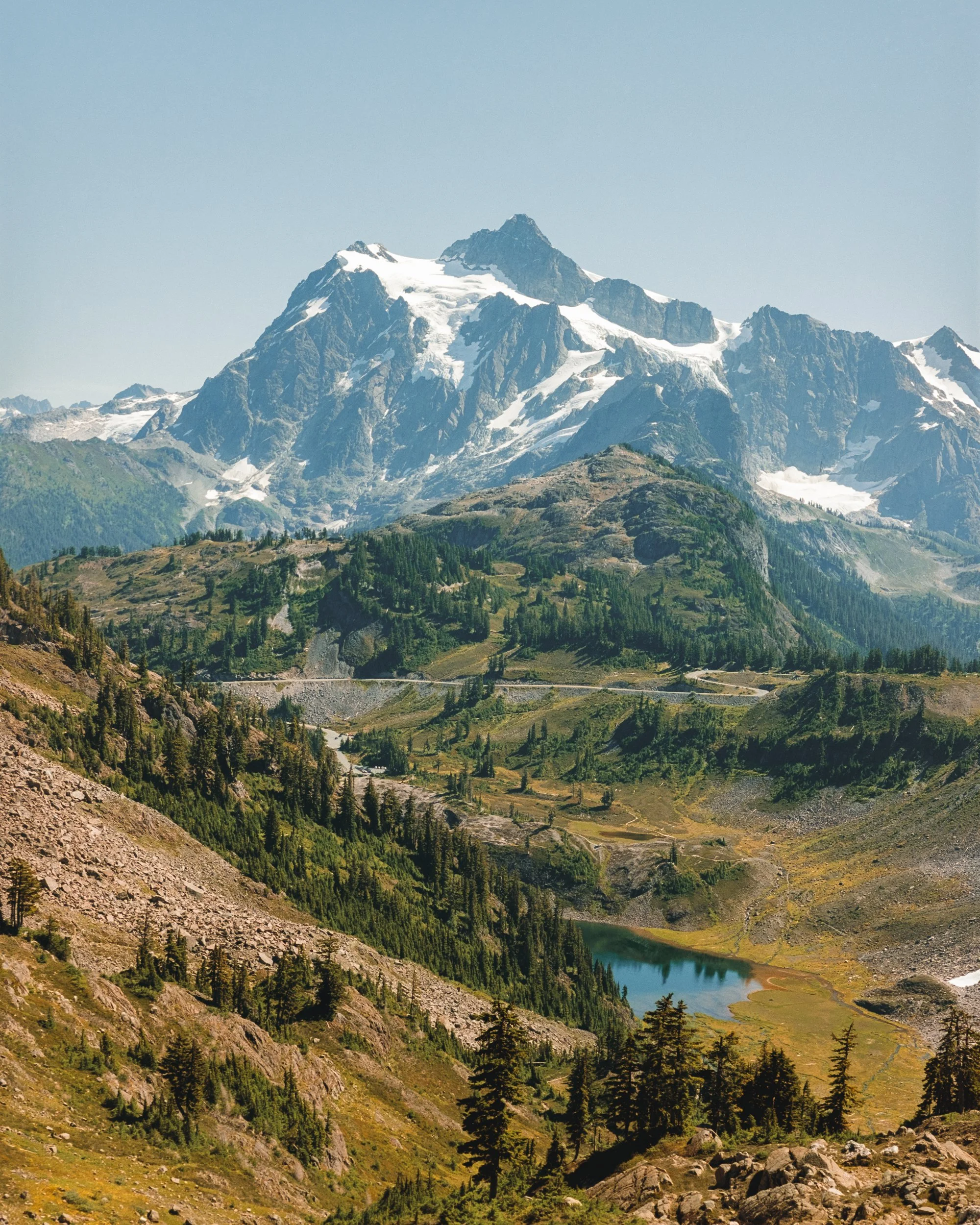 20240830_Baker National Forest_Mamiya645_Portra 1602194-Pano-positive.jpg