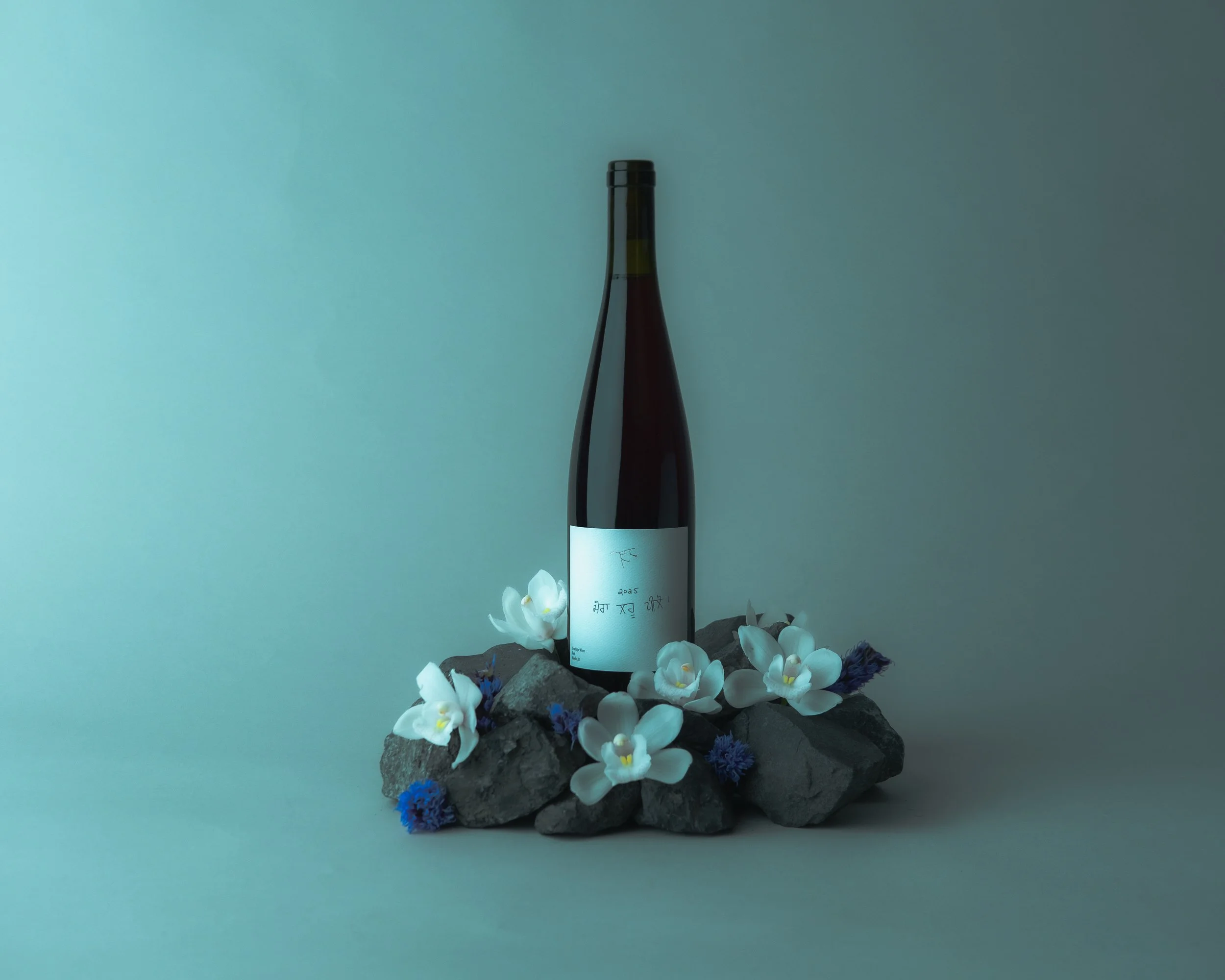 20260211Ursa Major Bottles_Drink My Blood_Vancouver_001-23.jpg