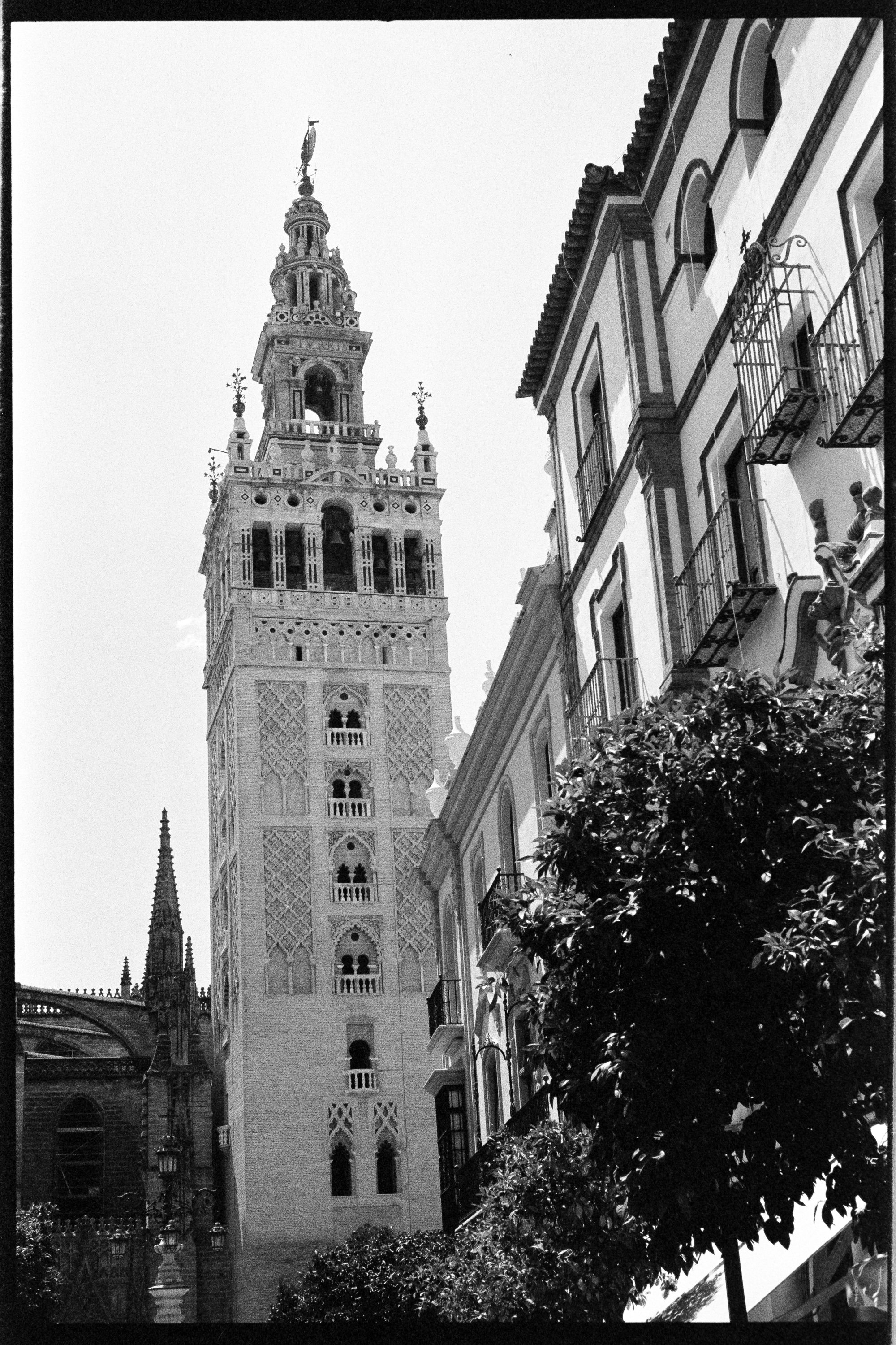 20240710_Portugal2024_NikonF3_KodakTMax 4002716-positive.jpg