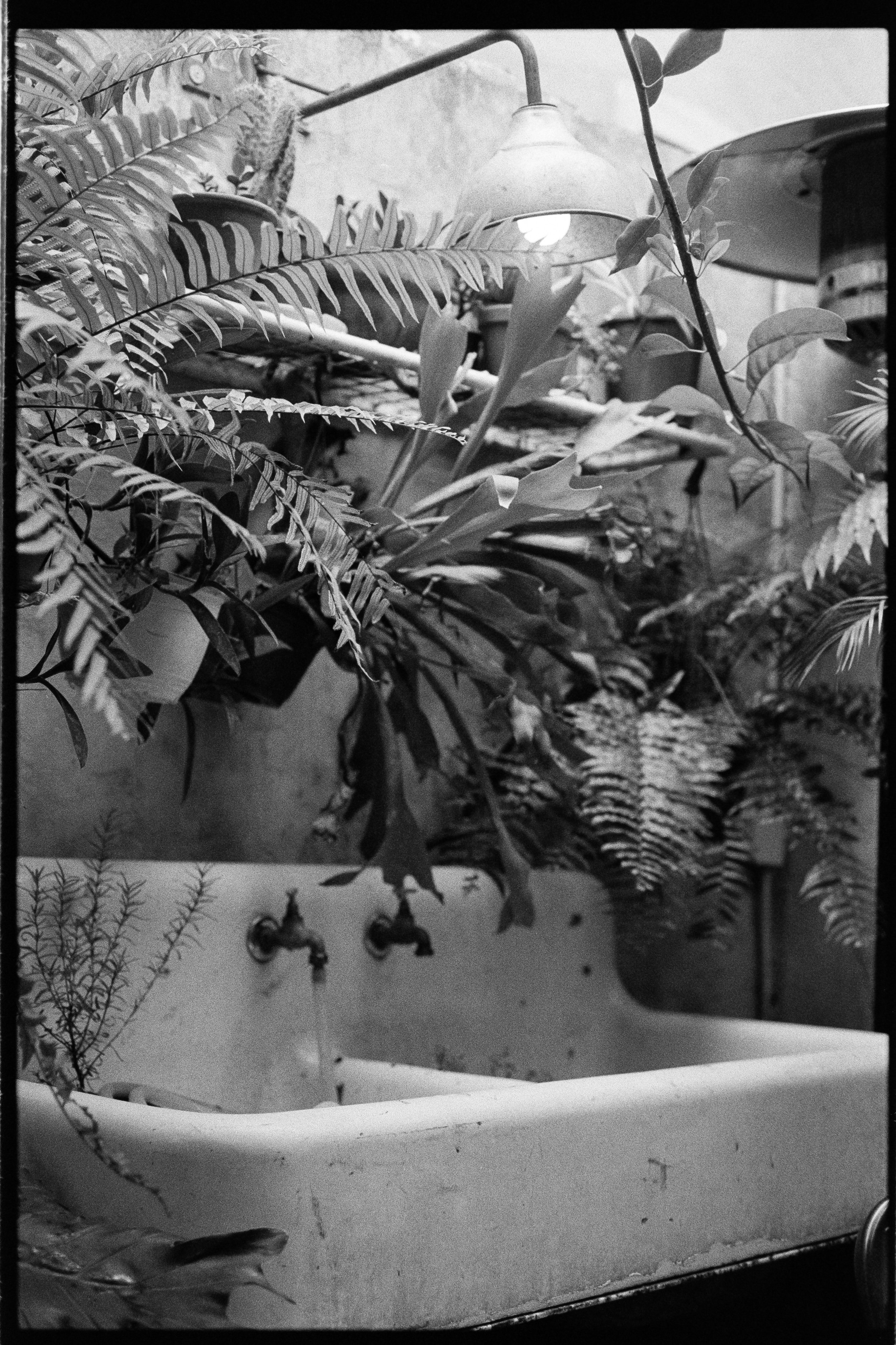 20240715_Portugal2024_NikonF3_Ilford HP52832-positive.jpg