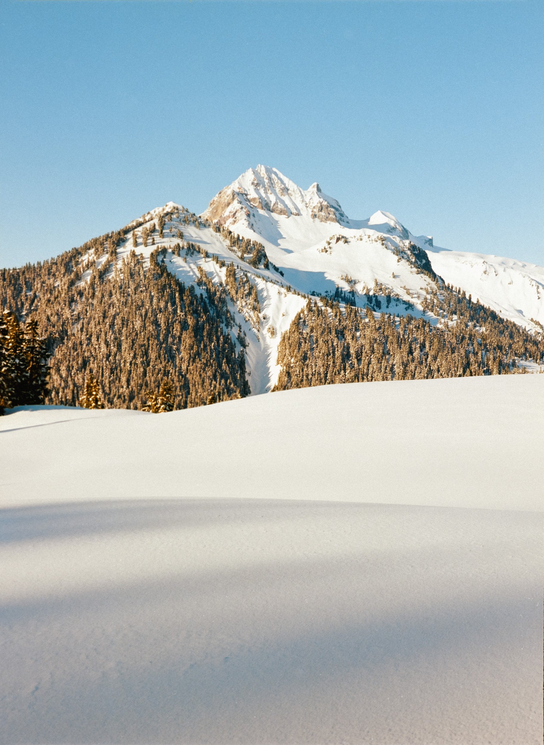 Snow-covered mountain range with pine trees under clear blue sky.