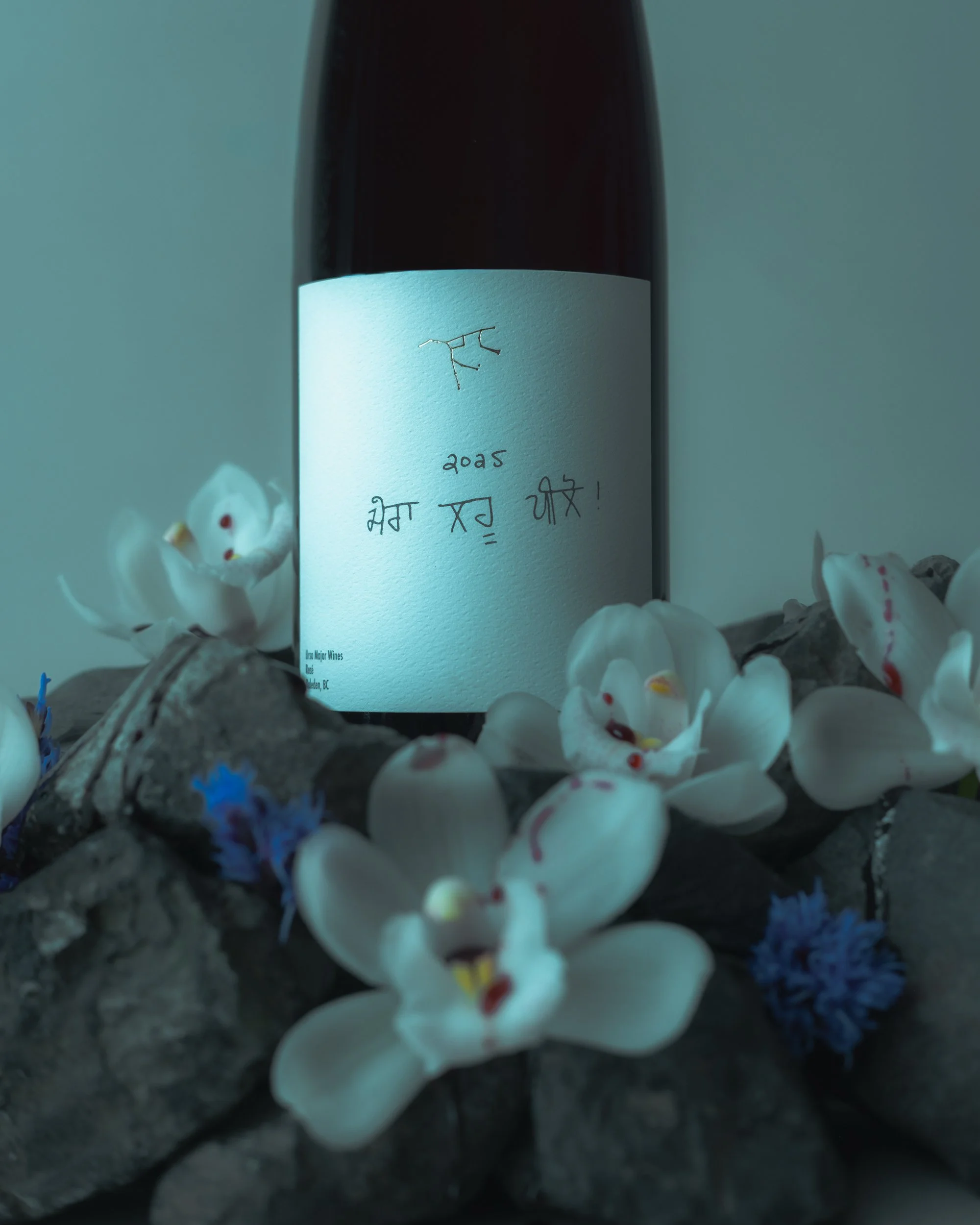 20260211Ursa Major Bottles_Drink My Blood_Vancouver_001-35.jpg