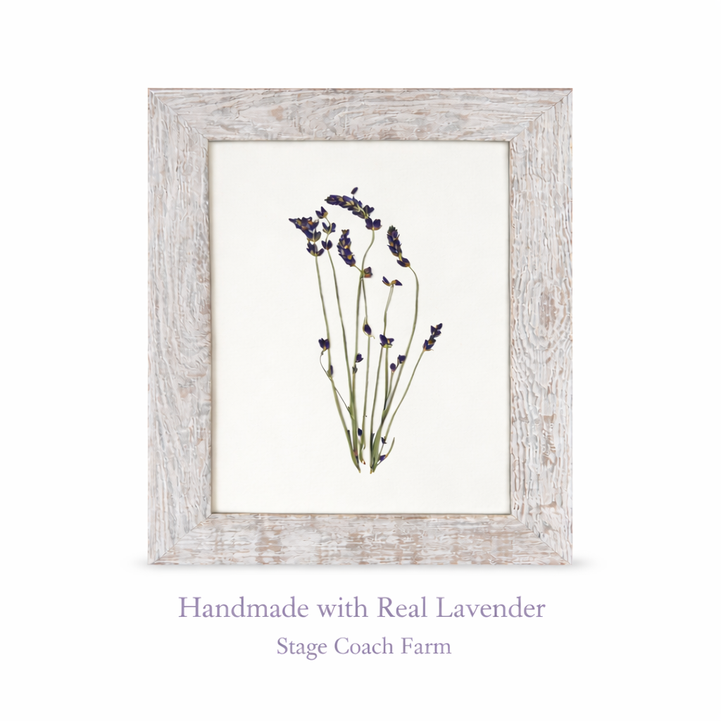 Lavender Wall Art - White Background.png