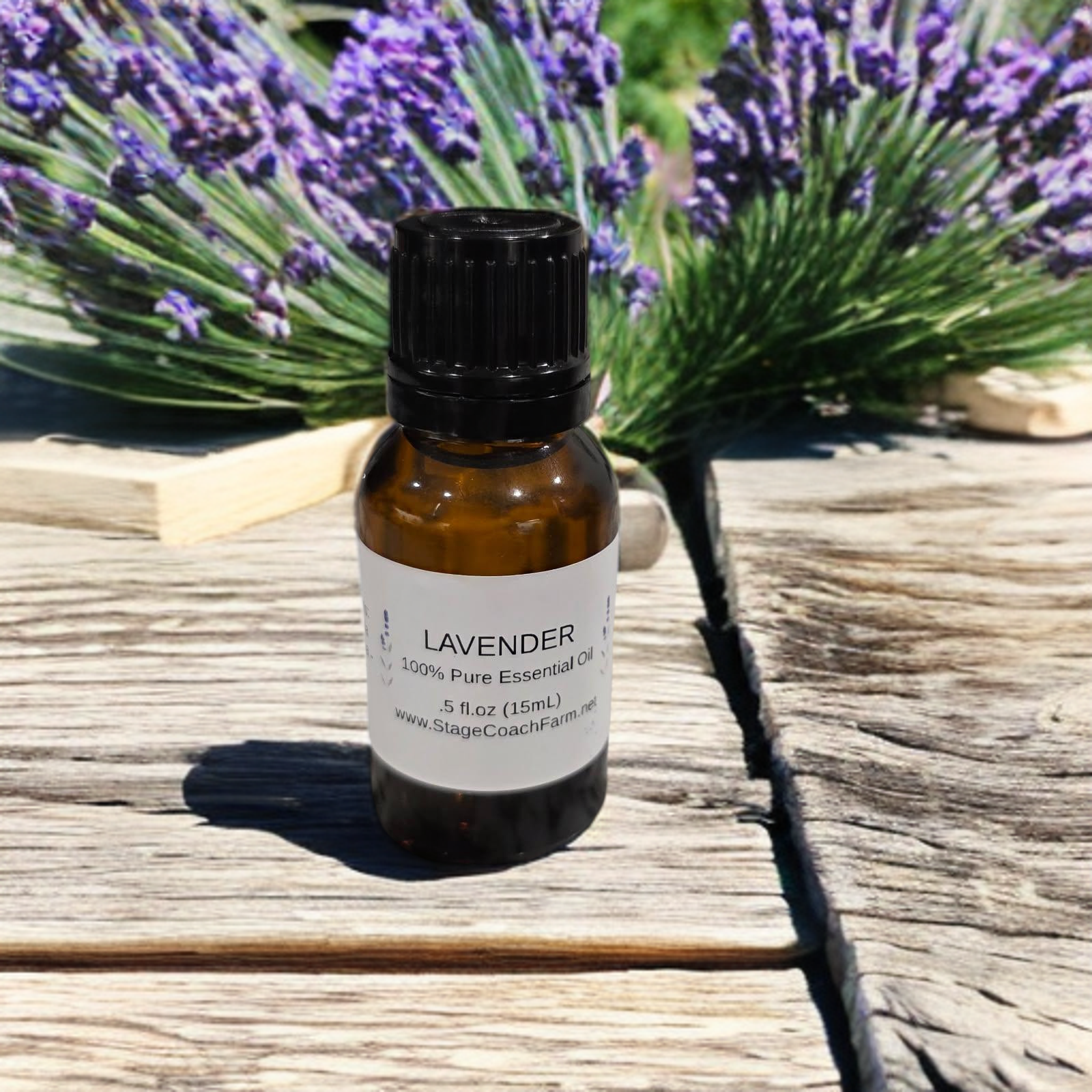 Lavender Essential Oil