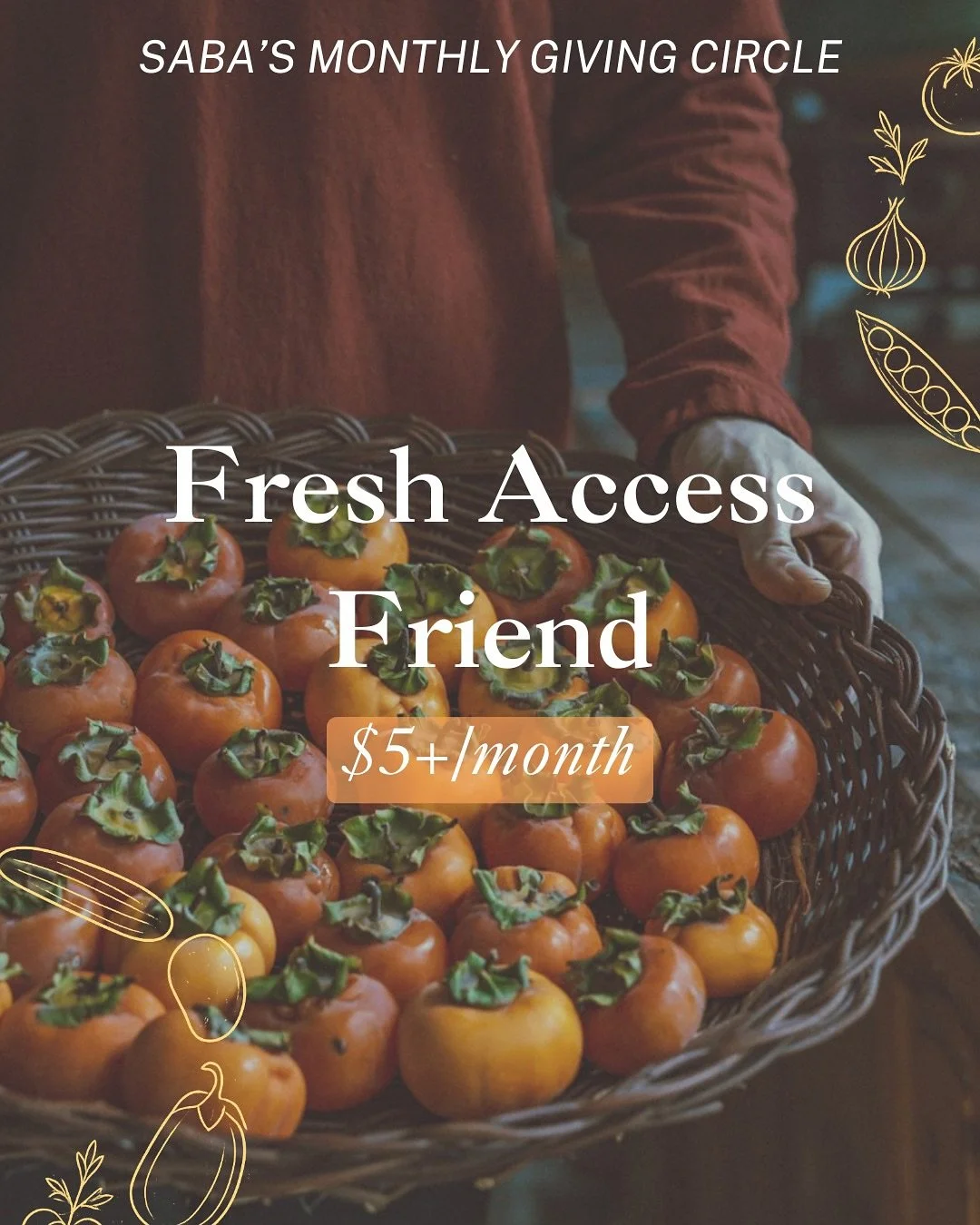 🌟 Introducing our first Monthly Giving Circle tier: Fresh Access Friend ($5+/month).

Every dollar counts. By giving just $5 a month, you help lay the foundation for food equity &mdash; keeping Saba&rsquo;s operations strong and expanding our reach 
