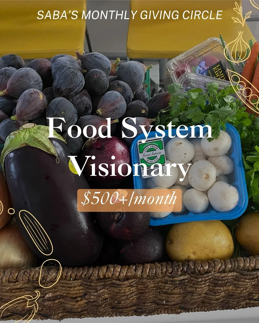 🚚 Deeper Look: Food System Visionary ($500+/month) 🚚

At this level, your support funds an entire produce route &mdash; covering the cost of sourcing, packing, and delivering fresh food from small BIPOC farms to corner stores in neighborhoods facin