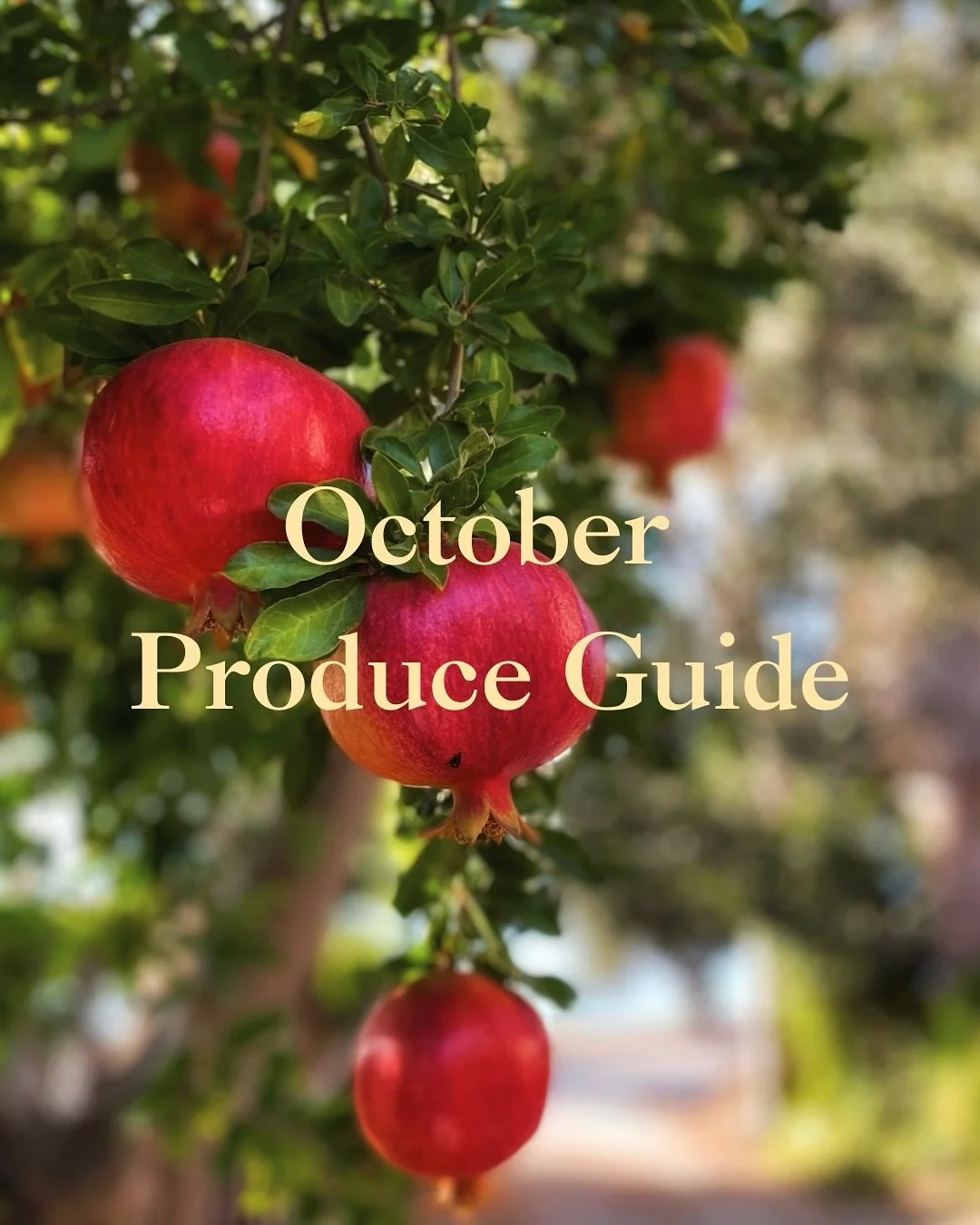 🍂✨ October is here, and with it comes some of our favorite seasonal produce! From crisp apples and pears to hearty winter squash, sweet potatoes, and brassicas like broccoli, brussels sprouts, and kale &mdash; fall in California is overflowing with 