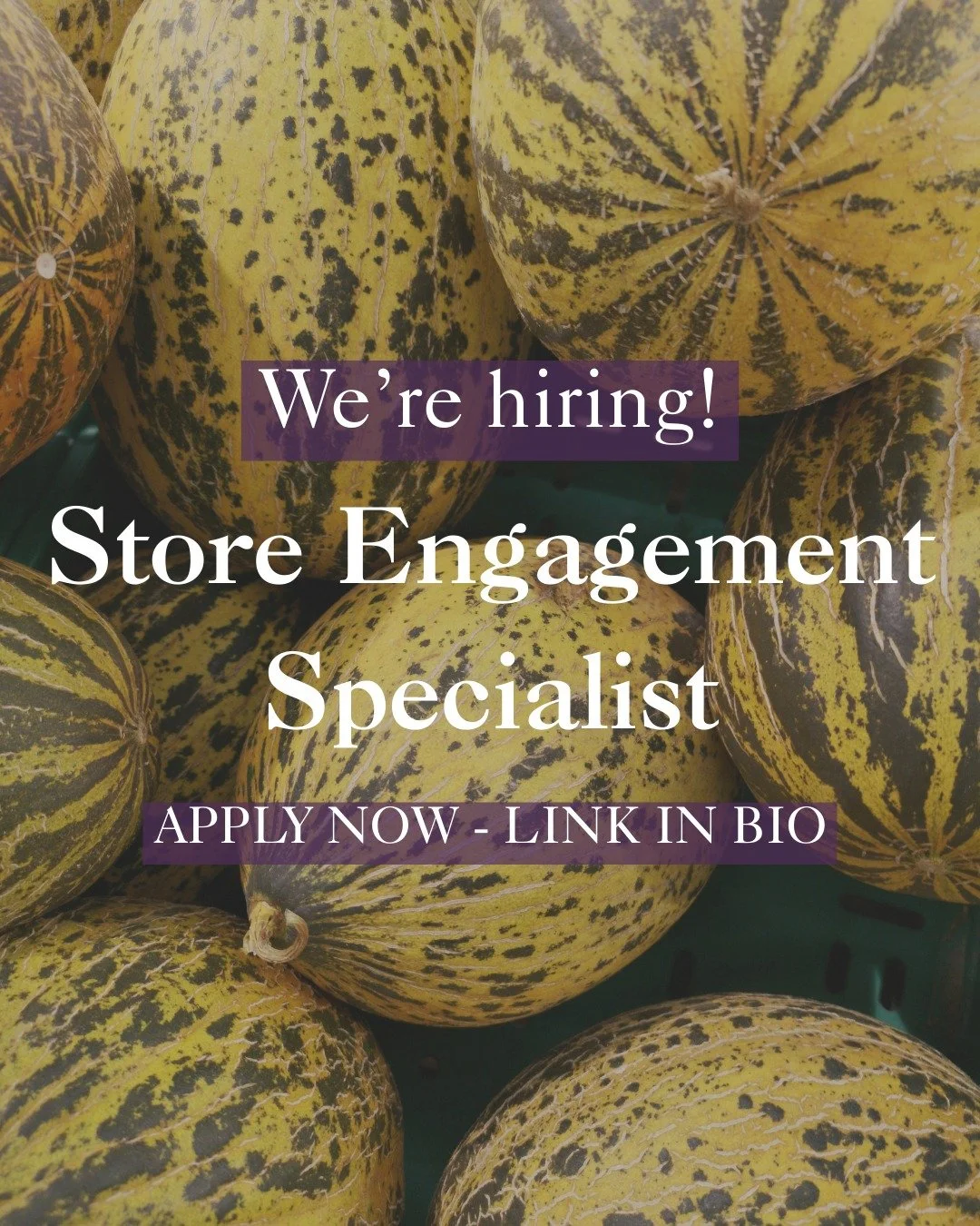 We're hiring a Store Engagement Specialist!

The position will lead our Fresh5x (SNAP match) and corner store programs. This role will be key to the strategic growth of the organization's nonprofit engagement.

Interested? Learn more &amp; apply now 