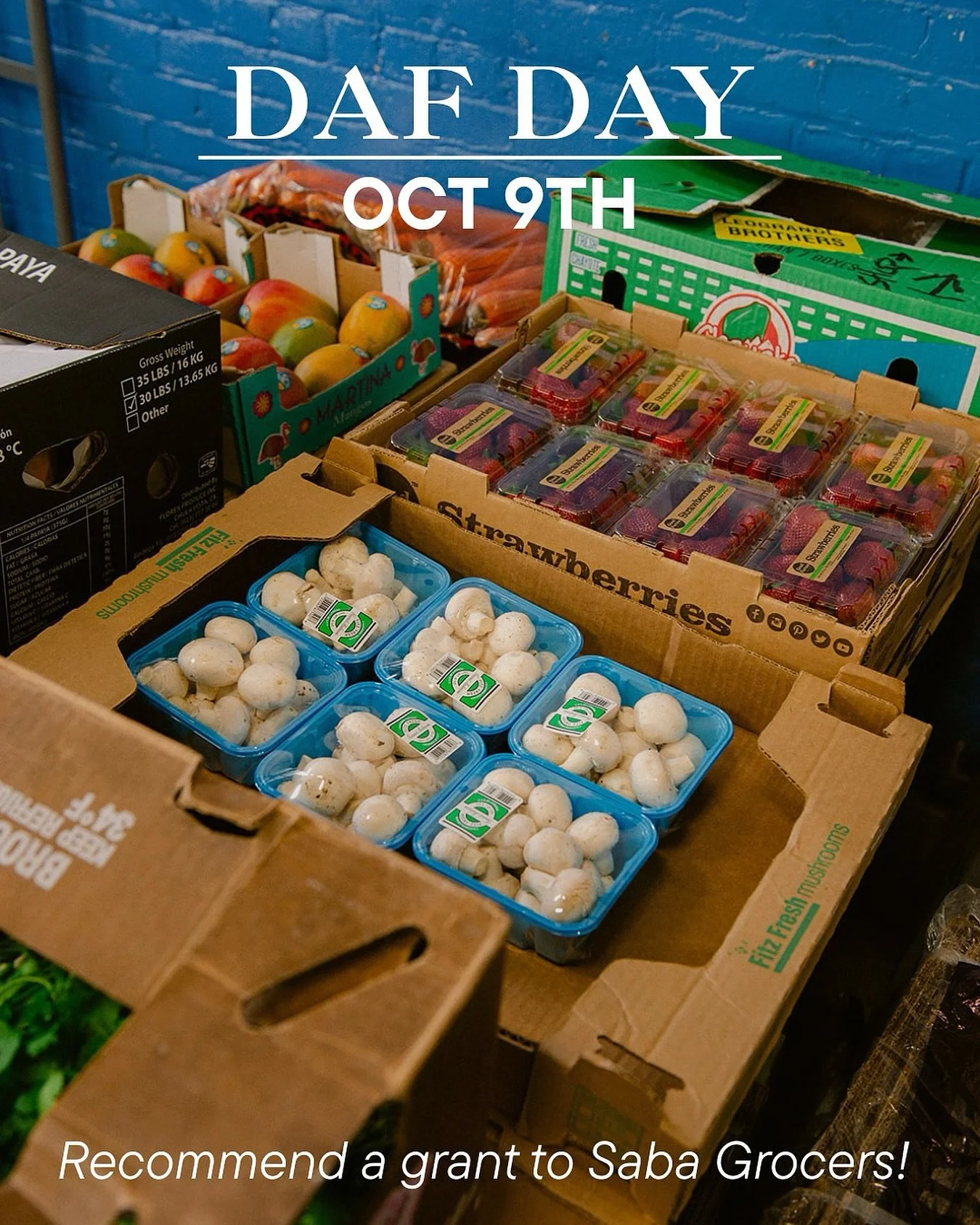 ✨ DAF Day is October 9!

Support food justice by recommending a grant to Saba Grocers Initiative through your Donor-Advised Fund.

Every DAF gift fuels the launch of our Saba Food Hub &mdash; connecting BIPOC farmers, corner stores, and families acro