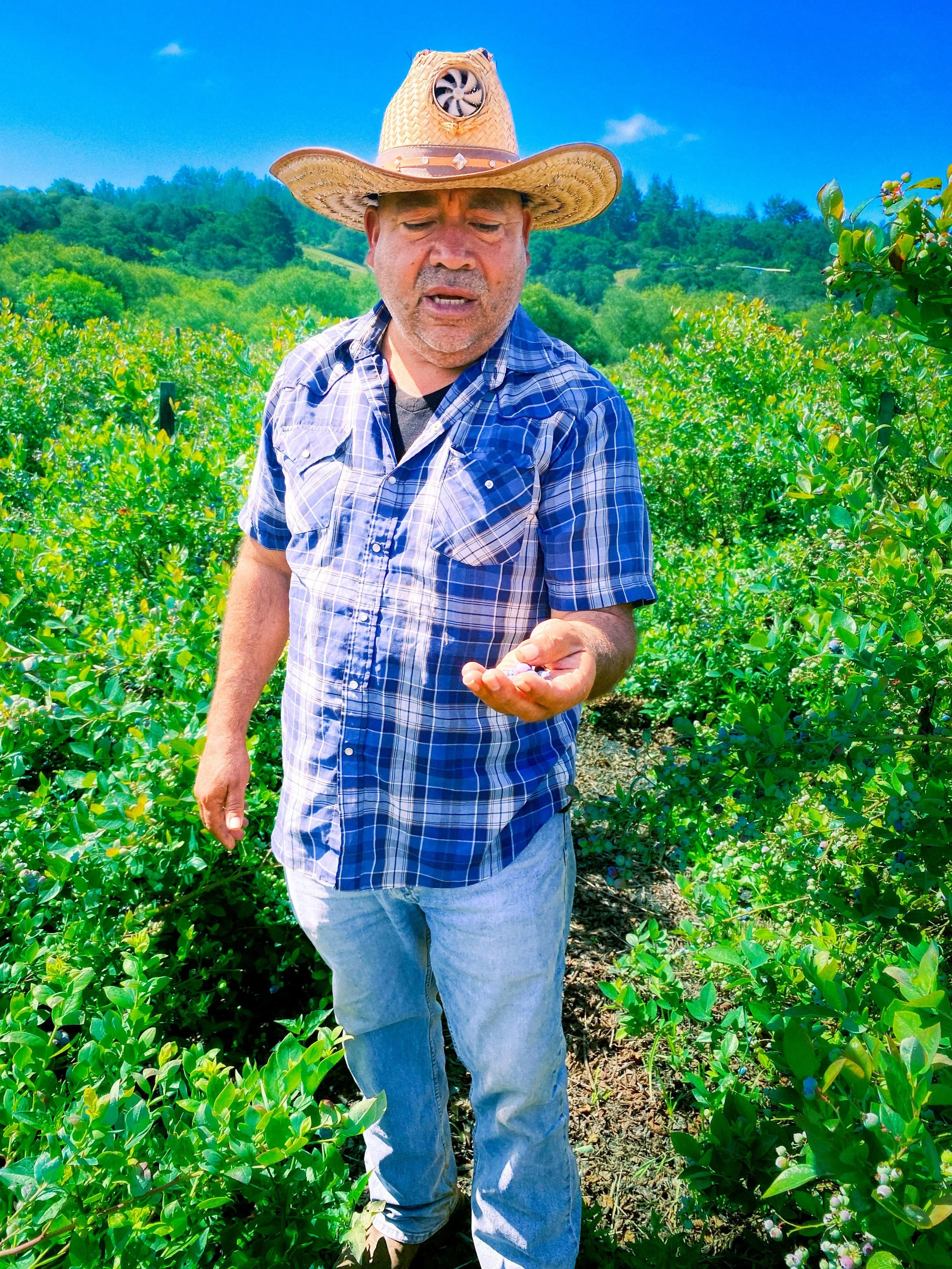Everyone farms different. The land is a canvas.

Visiting @jsmorganics on the Central Coast reminded us how much care, skill, and creativity goes into growing fresh food.

Grateful for the farmers like JSM who make this work possible through innovati
