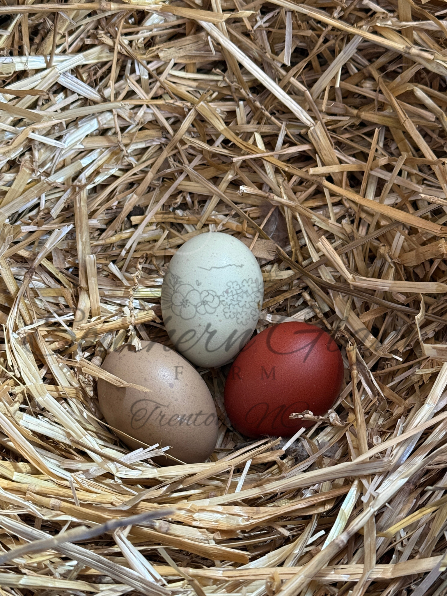 Three decorated eggs in a nest made of straw.