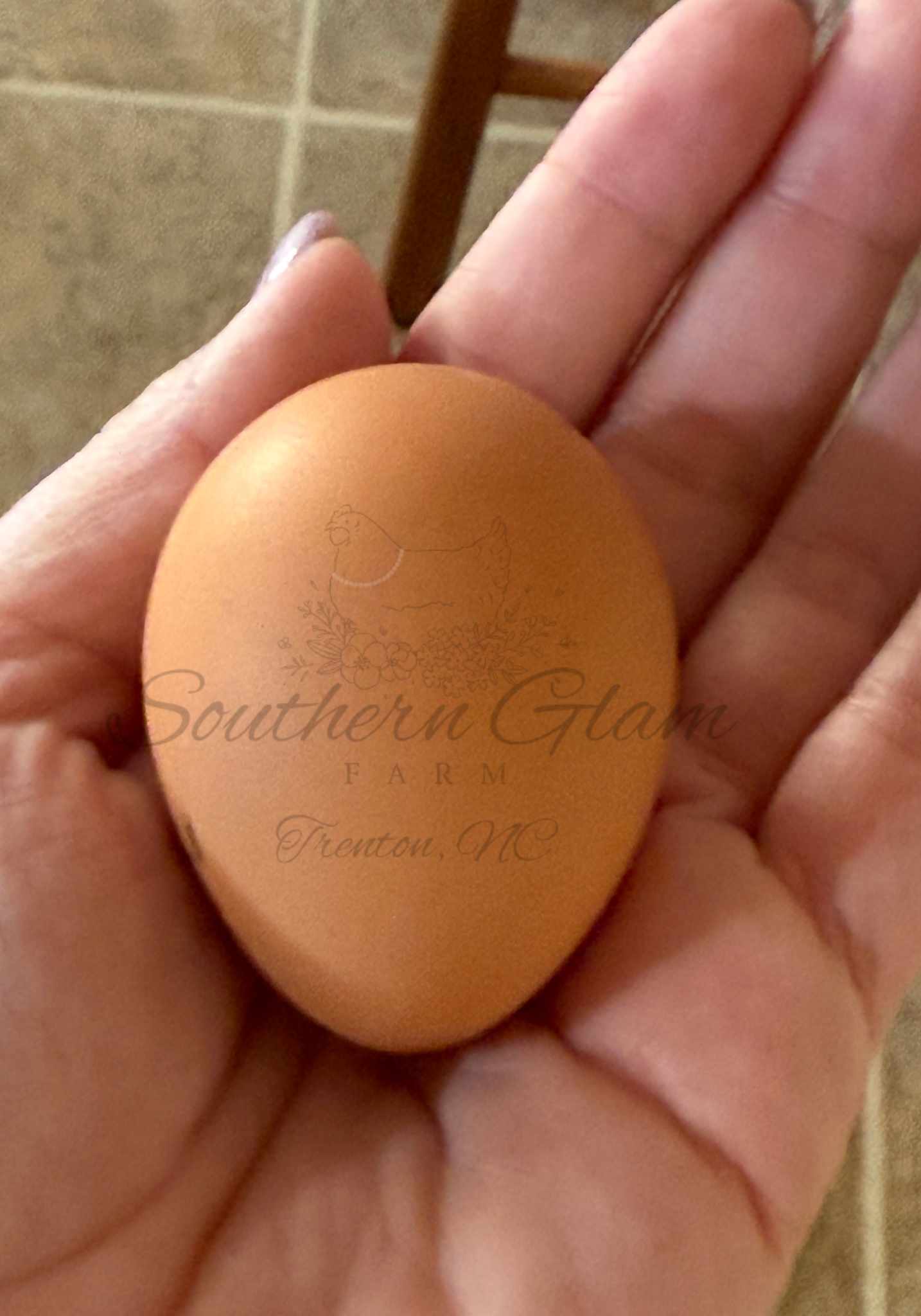 Untitled design 7.PNG