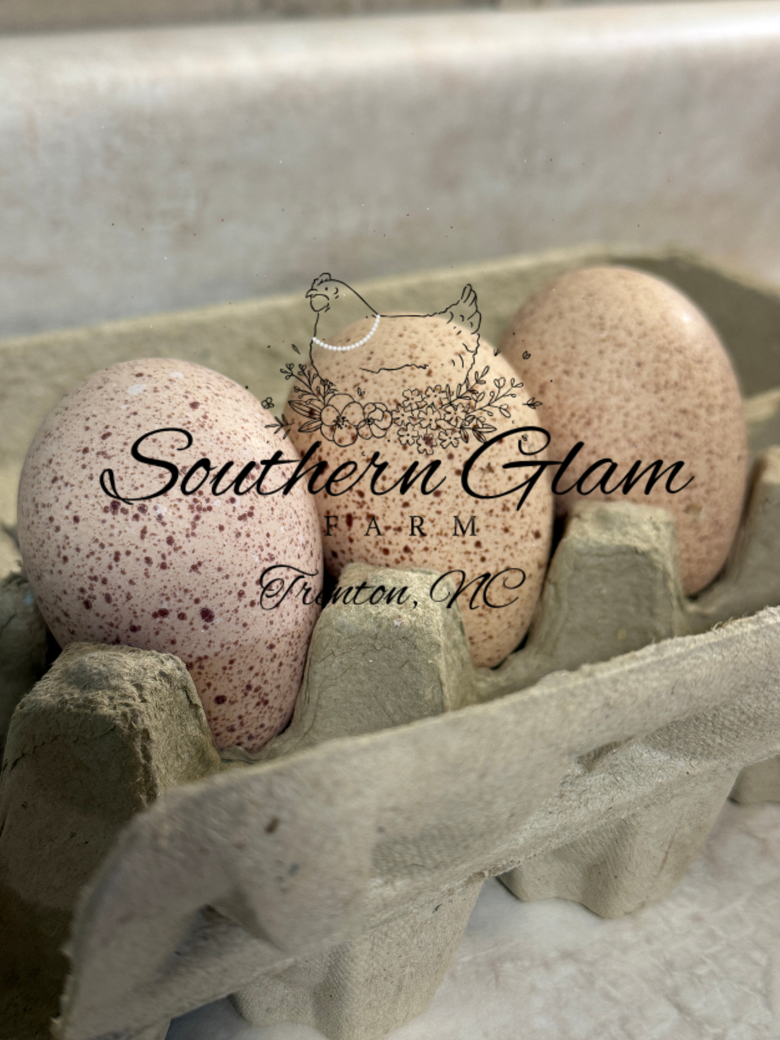 Heritage Bronze Turkey Hatching Eggs