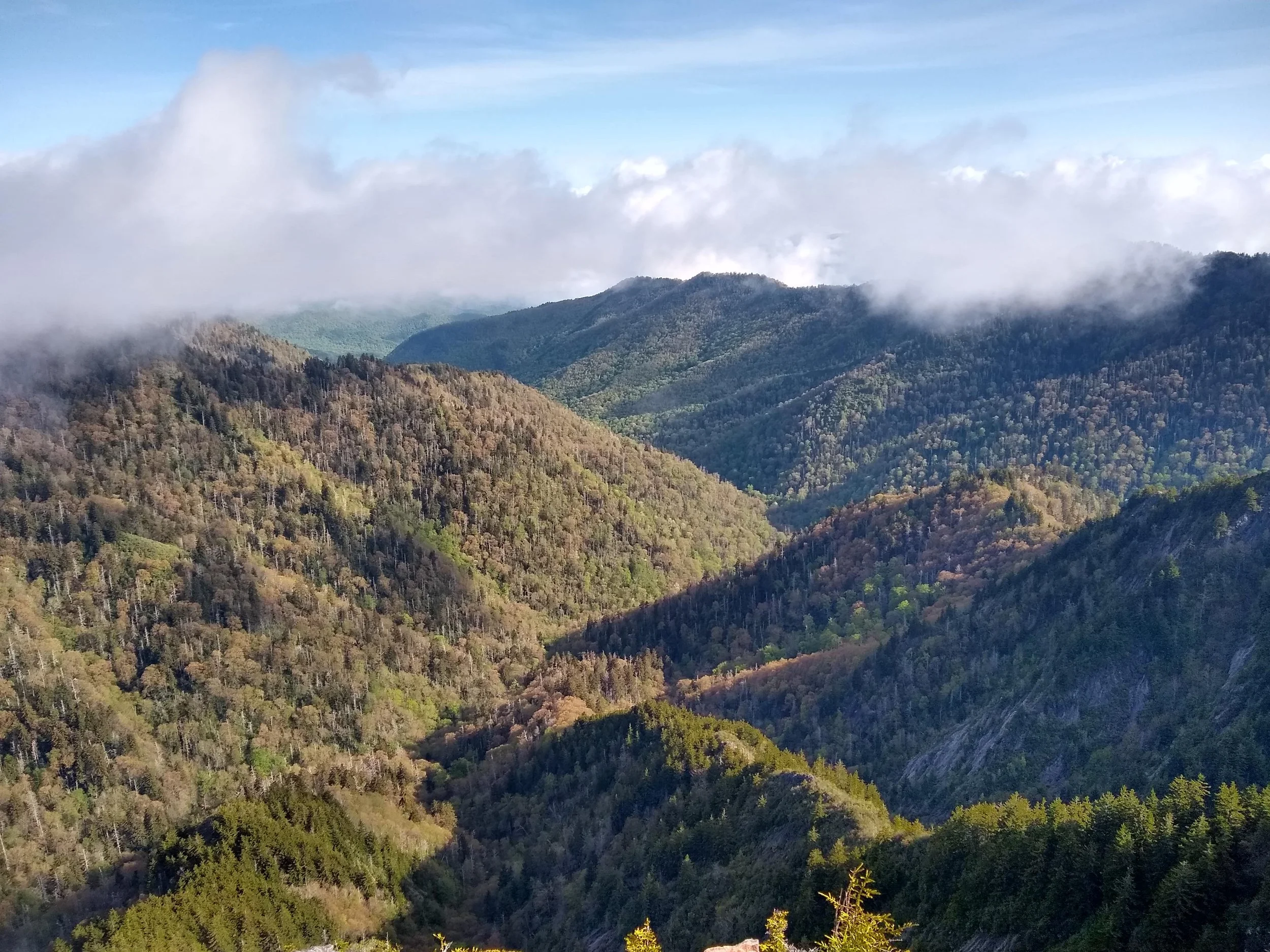 Brocken Specter, Great Smoky Mountains