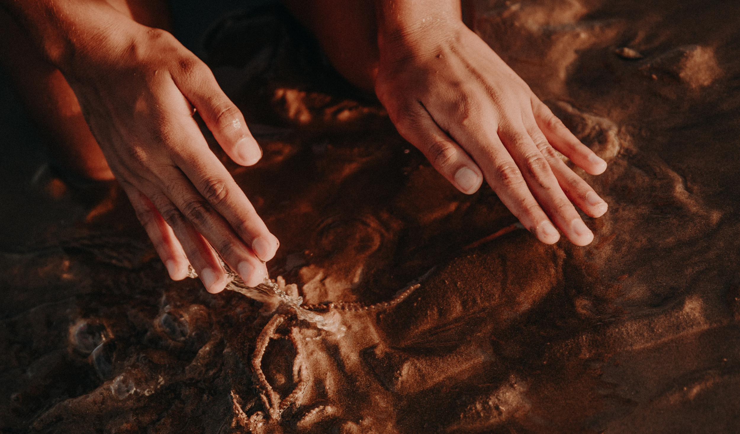 Person wading in water, touching a submerged octopus.