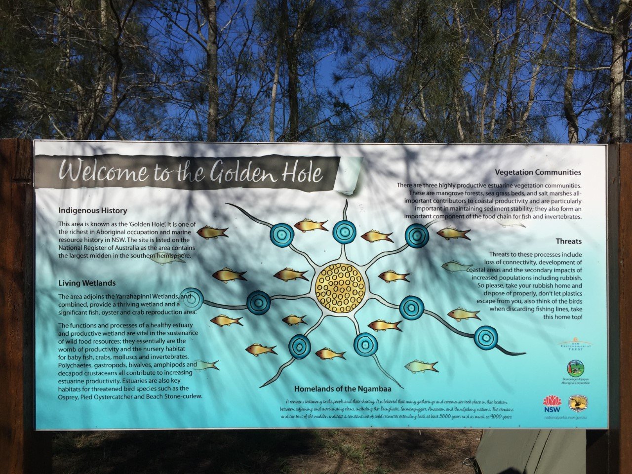 golden hole 4.jpg