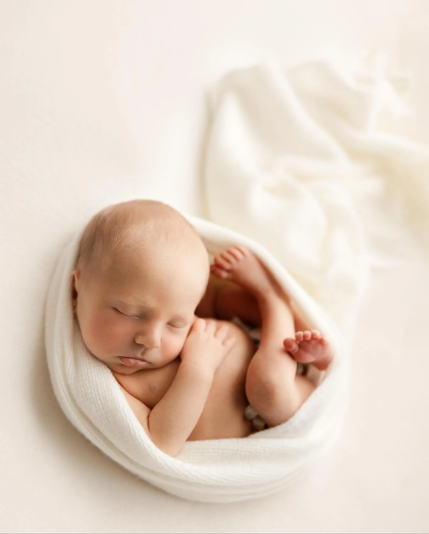 One wrap, one pose, 3 beautiful images&hellip;oh and one adorable little man of course! 😘 

#newbornphotography 
#newbornpictures 
#newbornphotographerbrisbane 
#brisbanenewbornphotographer 
#newbornposing