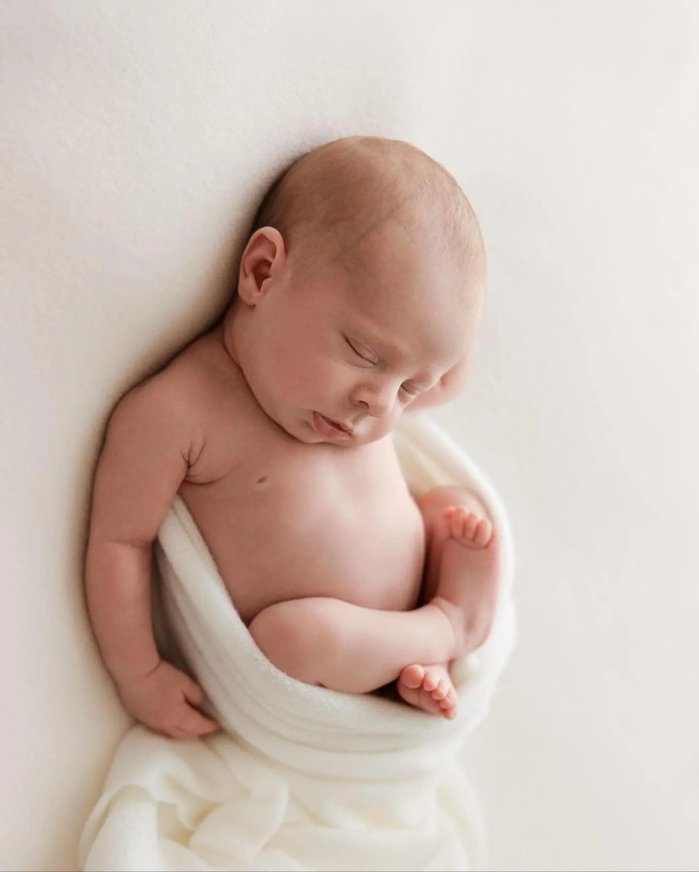 🥰 Beautiful little Ella stealing the show 💕

#newbornposing 
#newbornphotography 
#brisbanenewbornphotographer