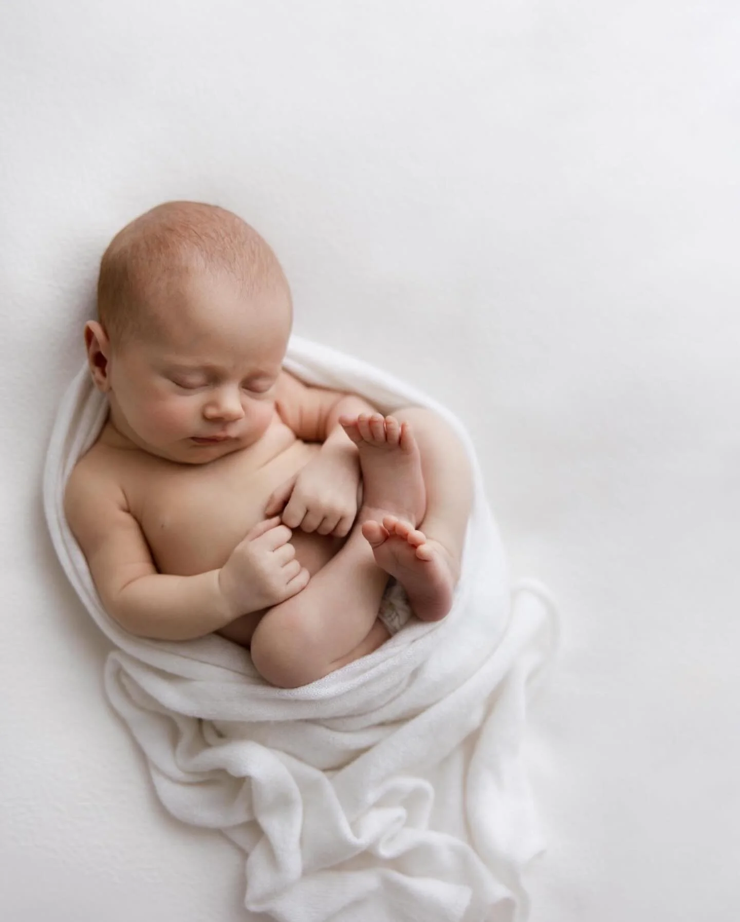 Beautiful little Murphy, such an angel. Loved having her big brother back in the studio for round two!! 🥰

#brisbanenewbornphotographer 
#newbornposing 
#brisbanephotographer 
#newbornphotographybrisbane