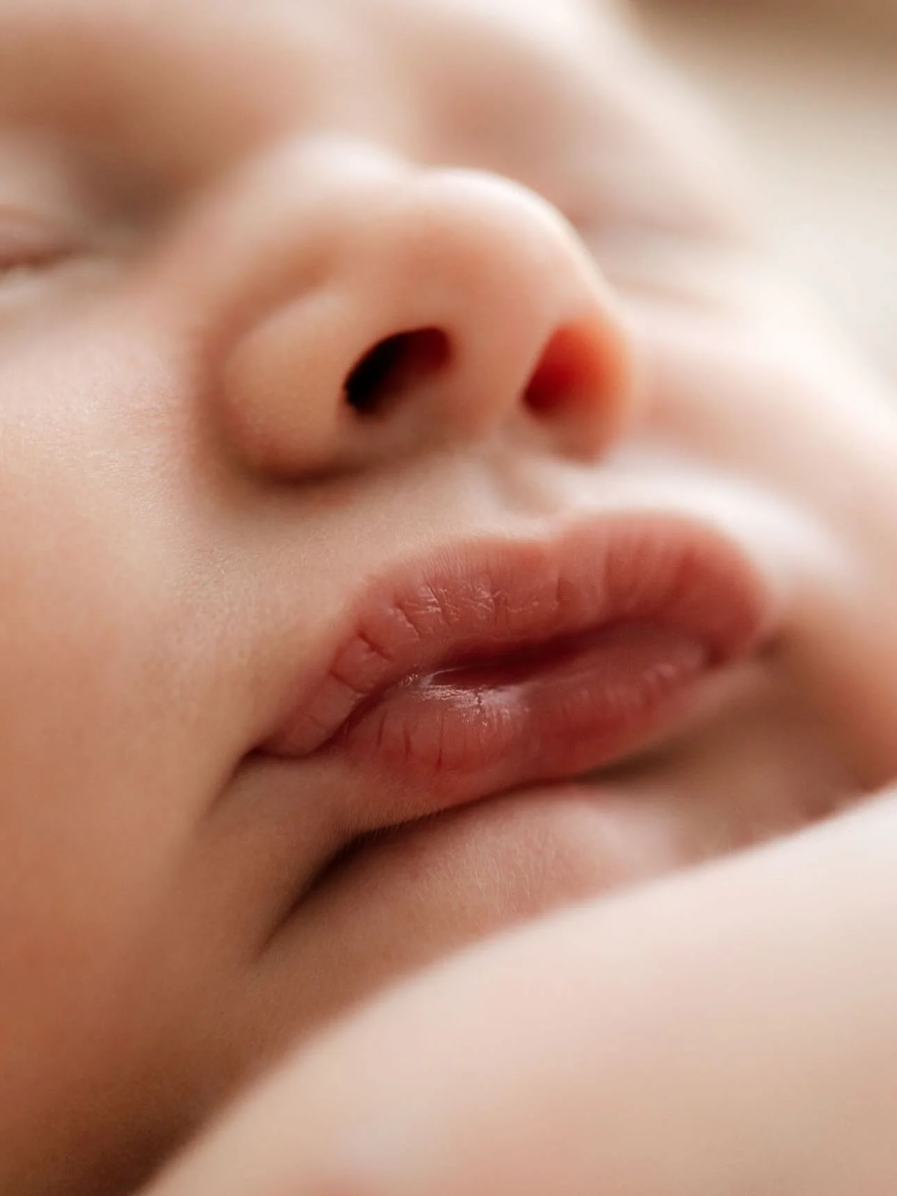 Is it wrong that I often get jealous of the lips on newborns?!🥰

#newbornsession 
#neebornposing 
#newbornphotographer 
#brisbanenwwbornphotographer