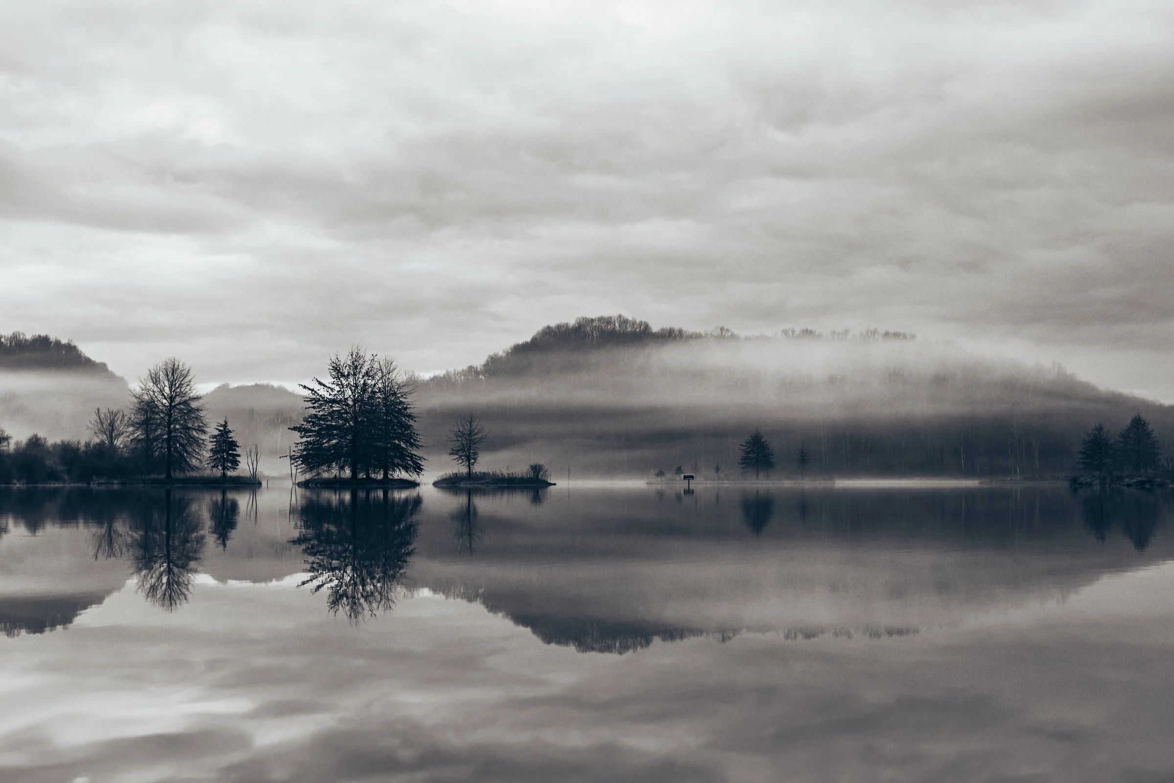 Stillness in the Morning Fog.jpg