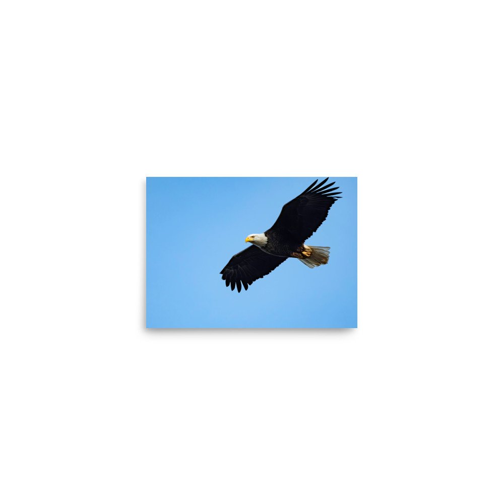 premium-luster-photo-paper-poster-(in)-5x7-front-67d623f8242fd.jpg