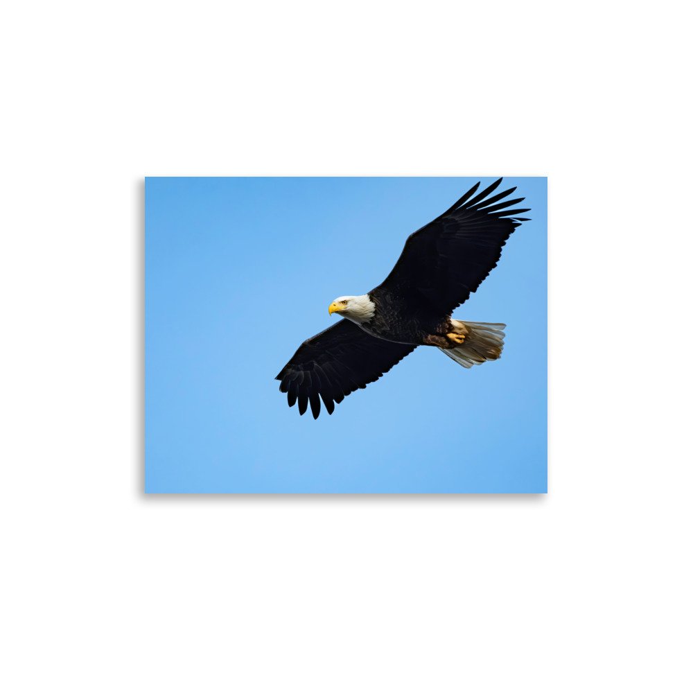 premium-luster-photo-paper-poster-(in)-11x14-front-67d623f8244f4.jpg