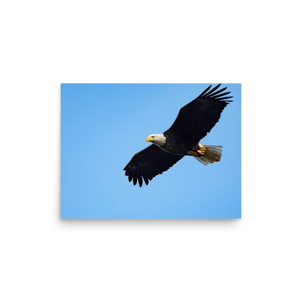 premium-luster-photo-paper-poster-(in)-12x16-front-67d623f8246ac.jpg