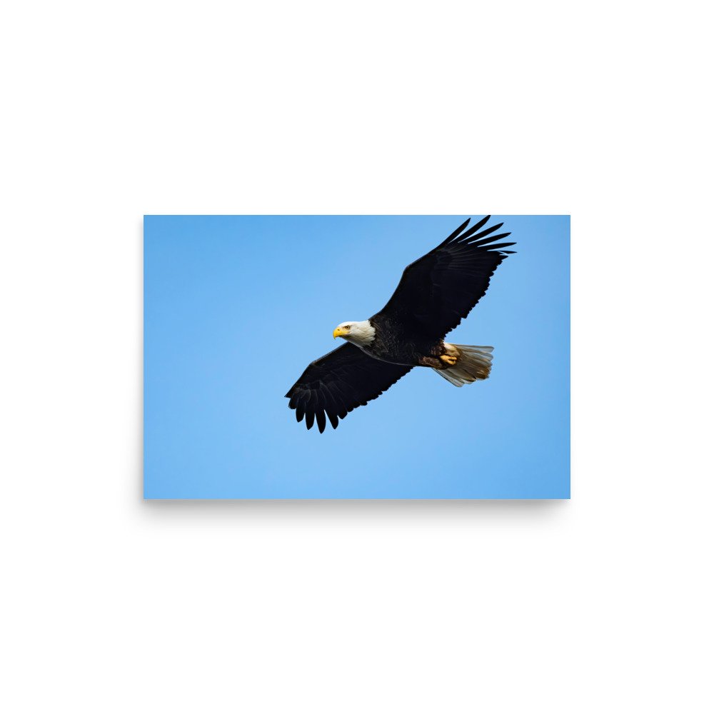 premium-luster-photo-paper-poster-(in)-12x18-front-67d623f82477d.jpg