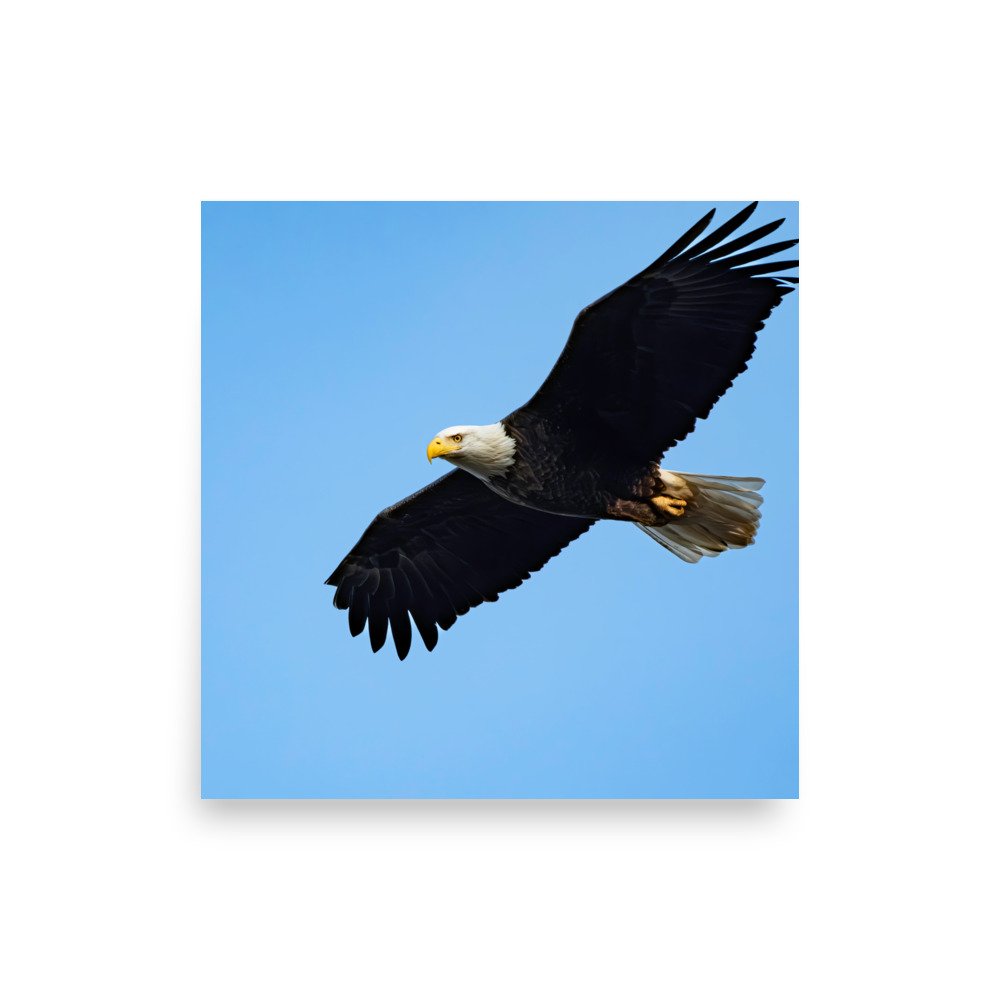 premium-luster-photo-paper-poster-(in)-14x14-front-67d623f82484c.jpg