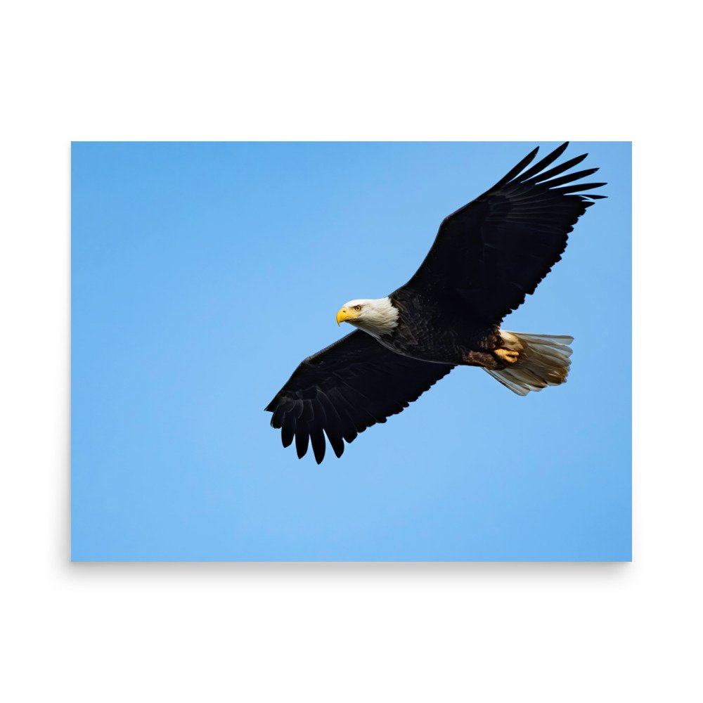 premium-luster-photo-paper-poster-(in)-18x24-front-67d623f824b84.jpg